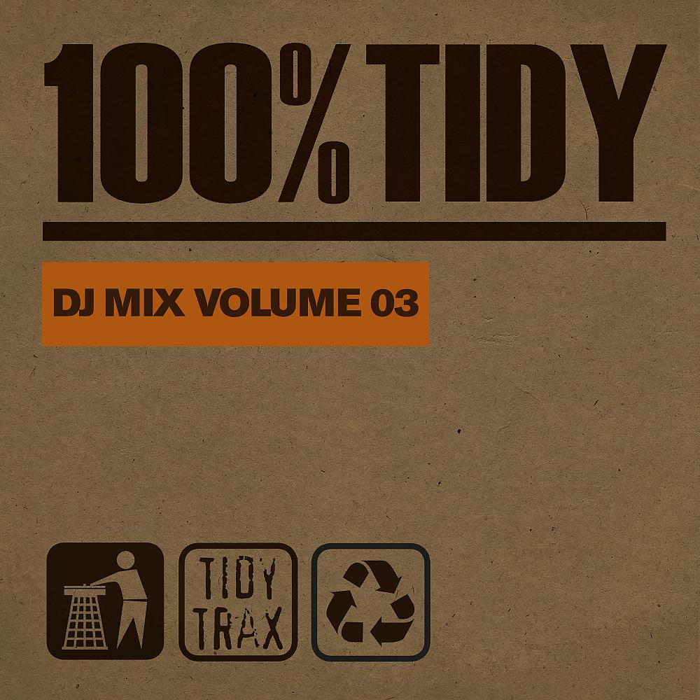 Постер альбома 100% Tidy, Vol. 3