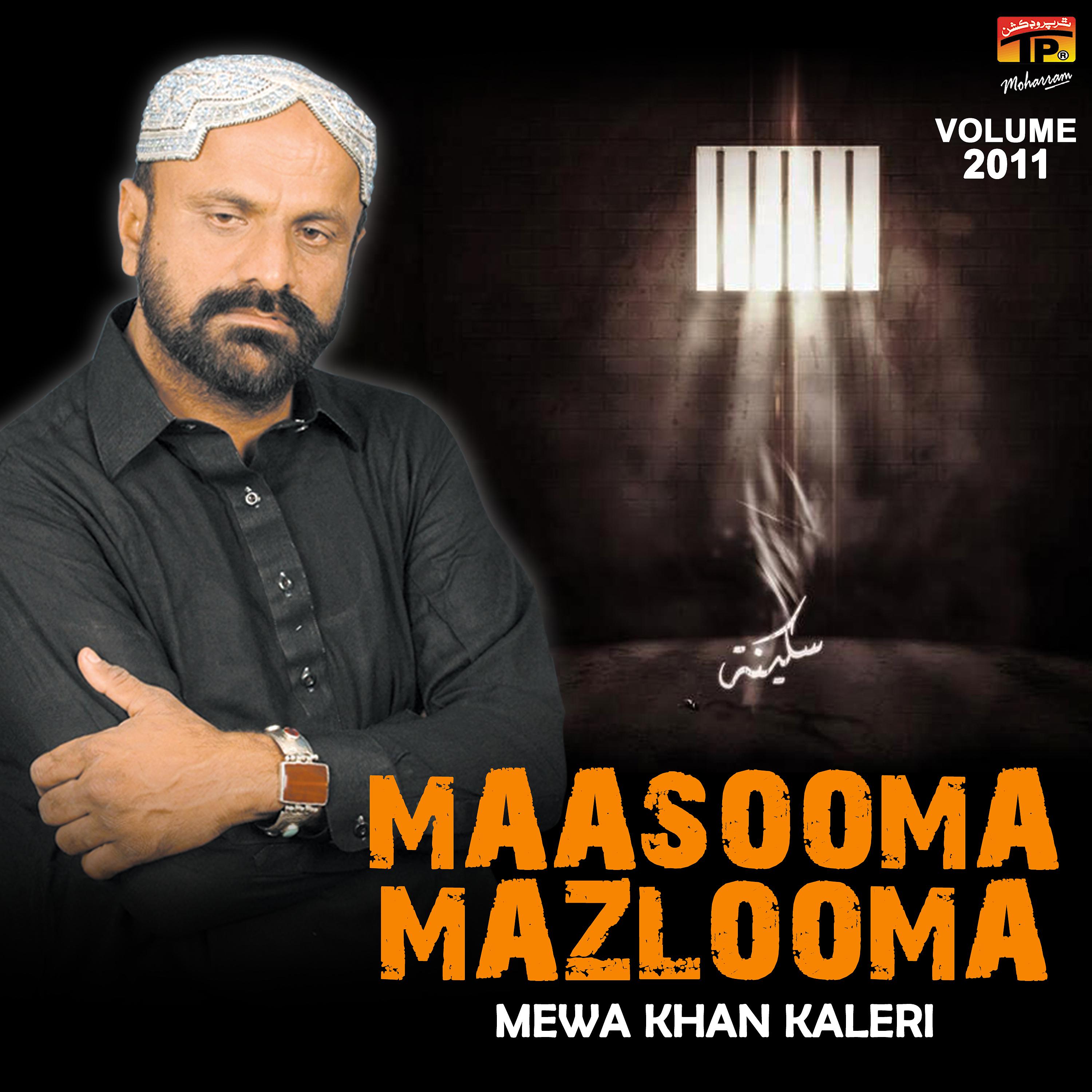 Постер альбома Maasooma Mazlooma, Vol. 2011