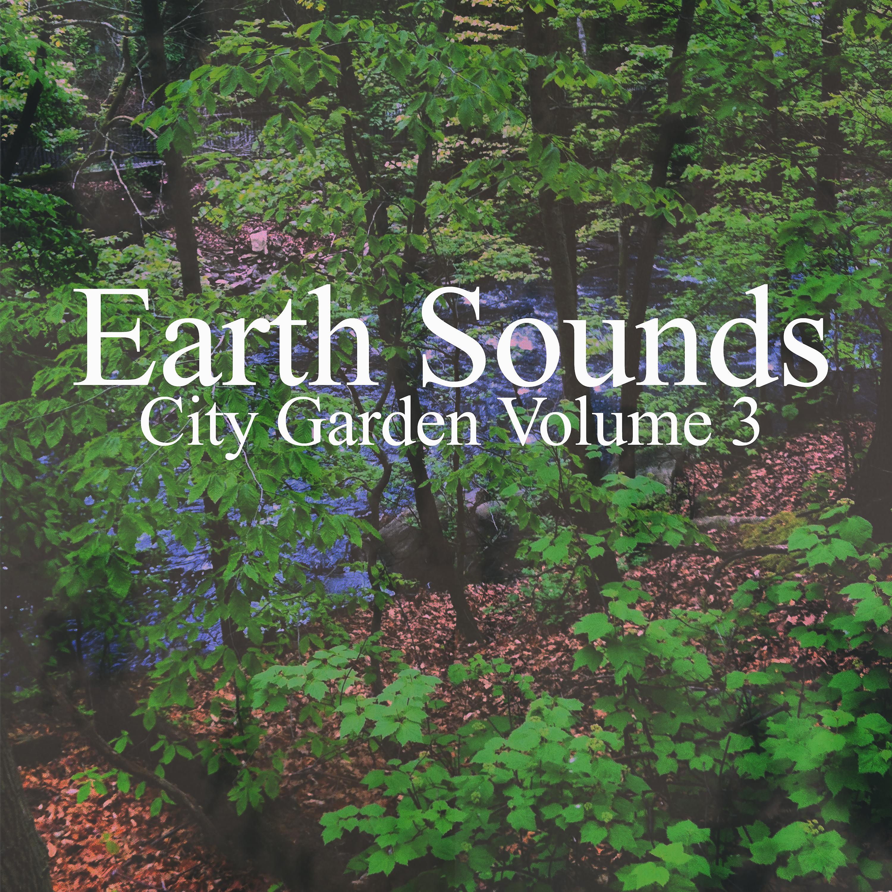 Постер альбома City Garden Volume 3