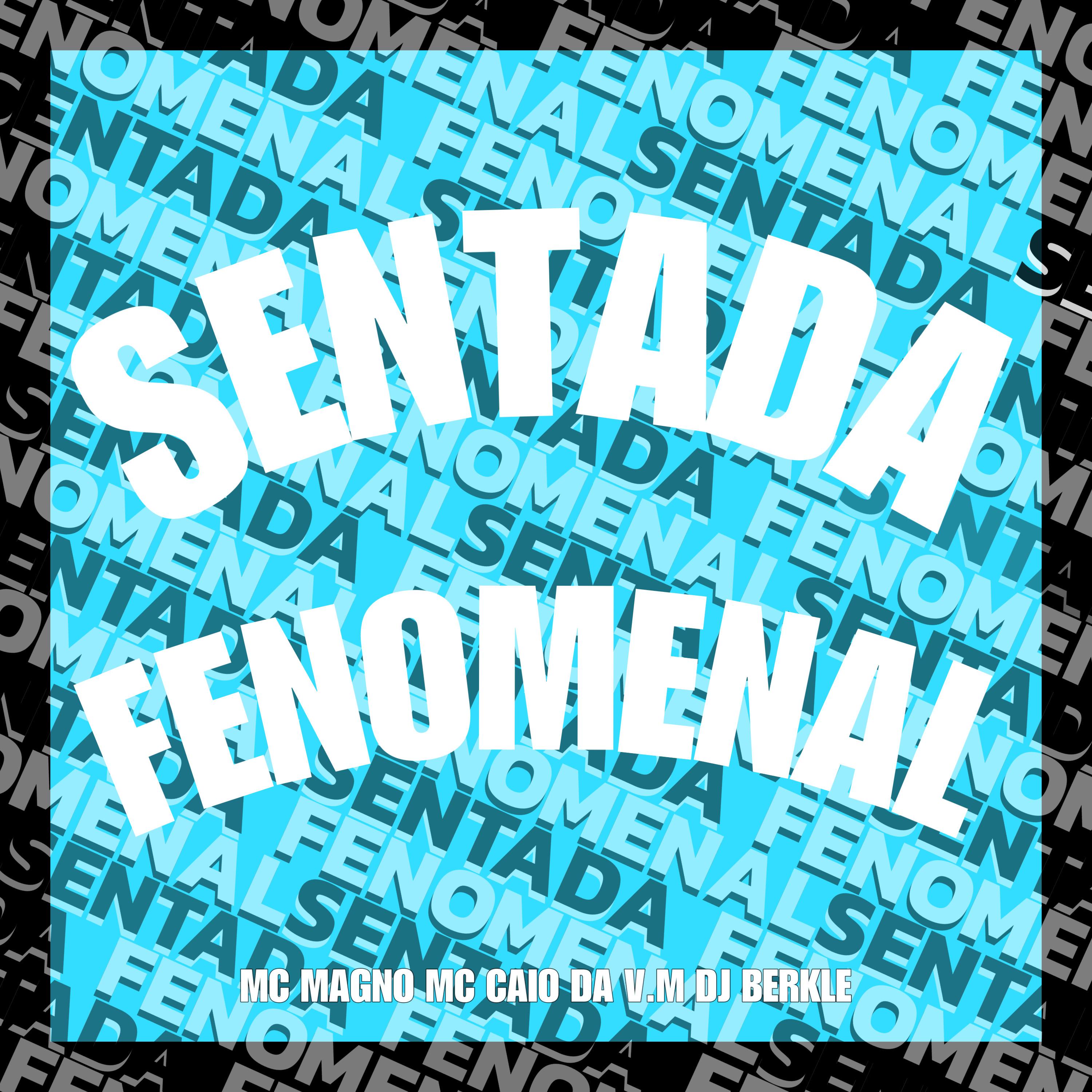 Постер альбома Sentada Fenomenal