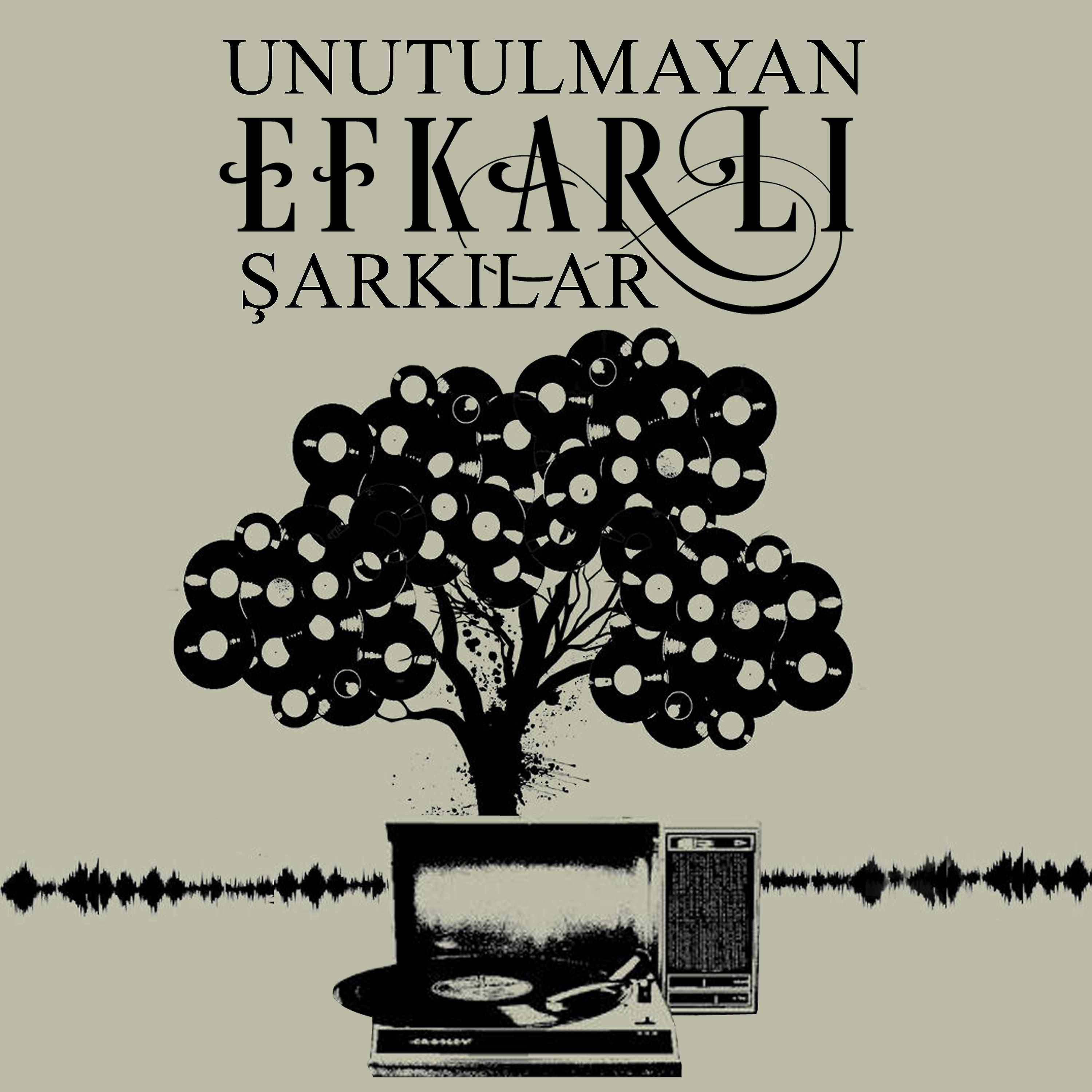 Постер альбома Unutulmayan Efkarlı Şarkılar