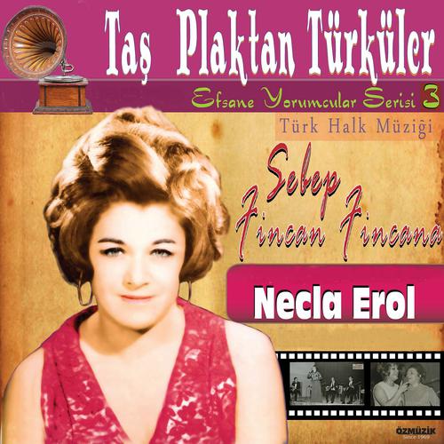 Постер альбома Taş Plaktan Türküler Türk Halk Müziği Efsane Yorumcular Serisi, Vol. 3