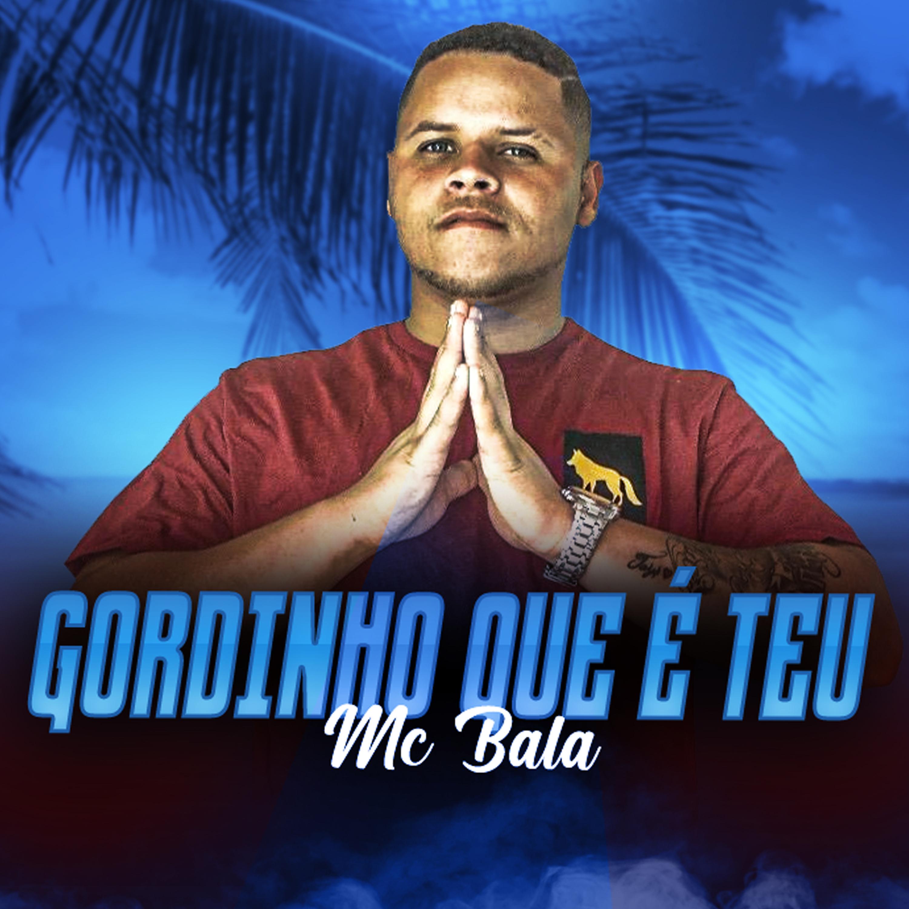 Постер альбома Gordinho Que É Teu