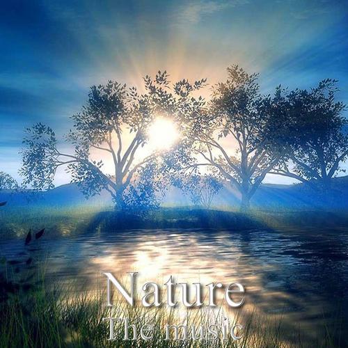 Постер альбома Nature