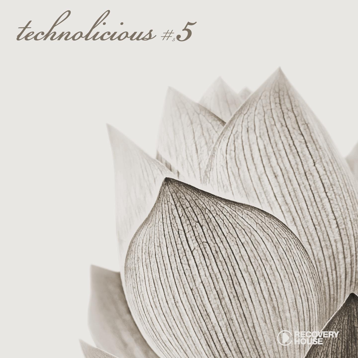 Постер альбома Technolicious #5