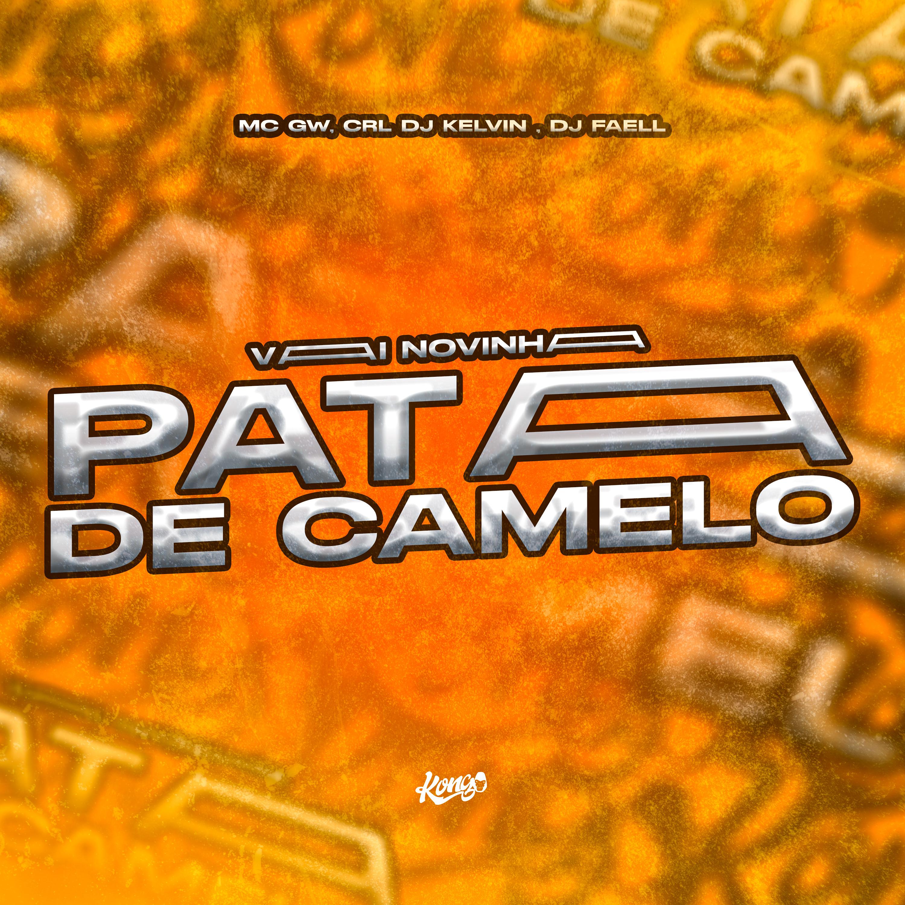 Постер альбома Vai Novinha Pata de Camelo
