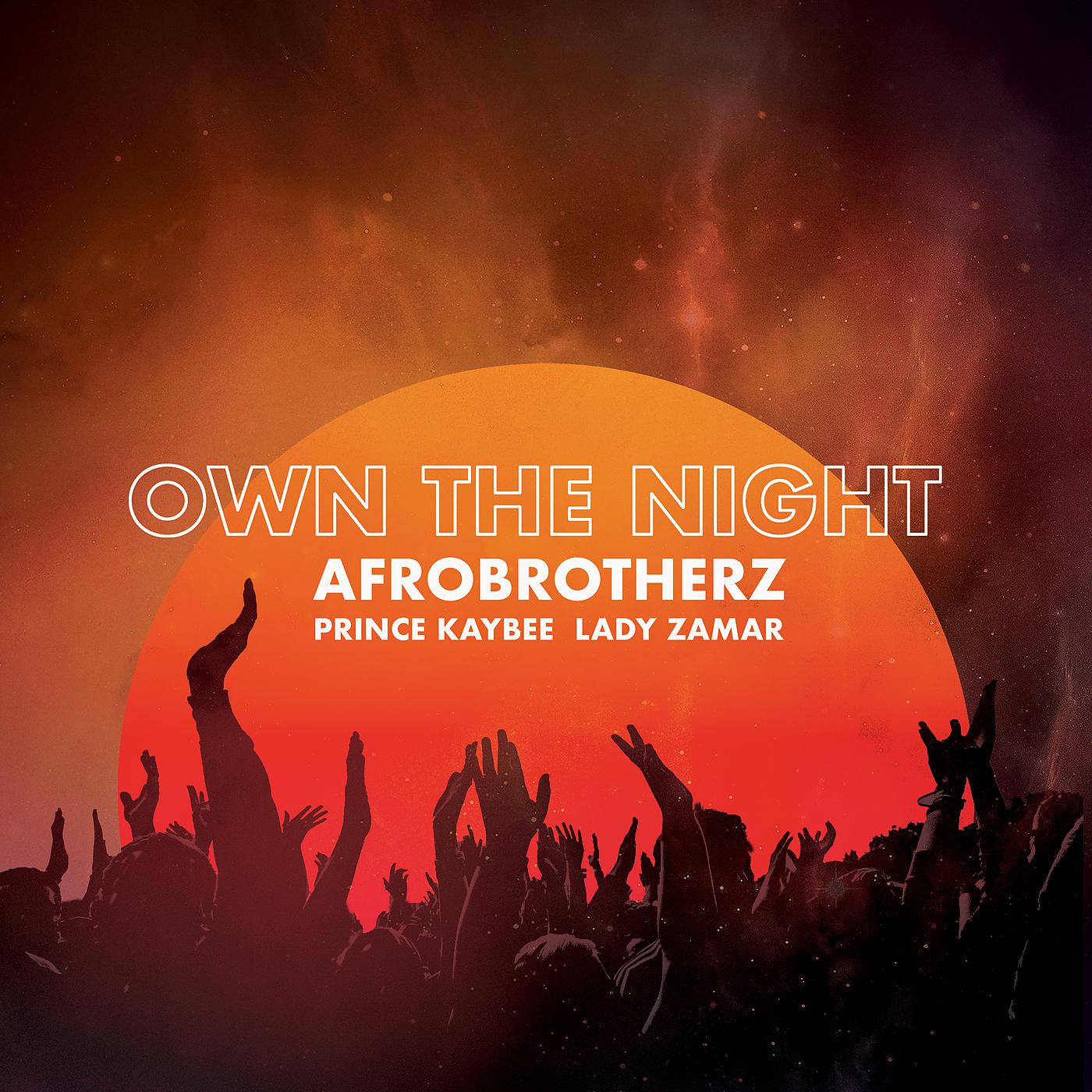 Постер альбома Own The Night