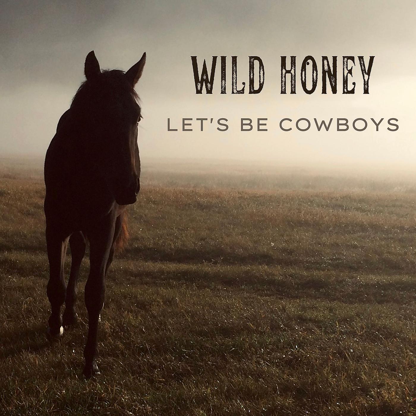Постер альбома Let's Be Cowboys