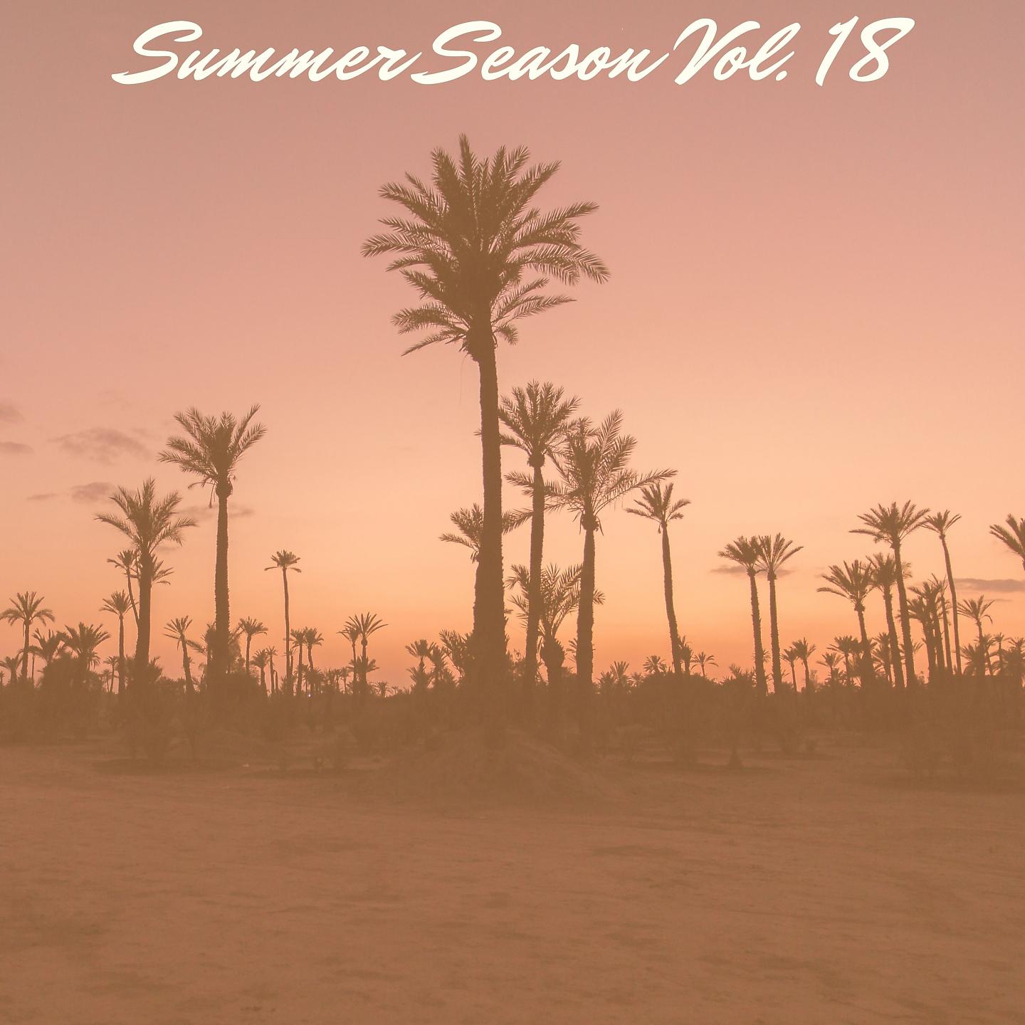 Постер альбома Summer Season Vol. 18