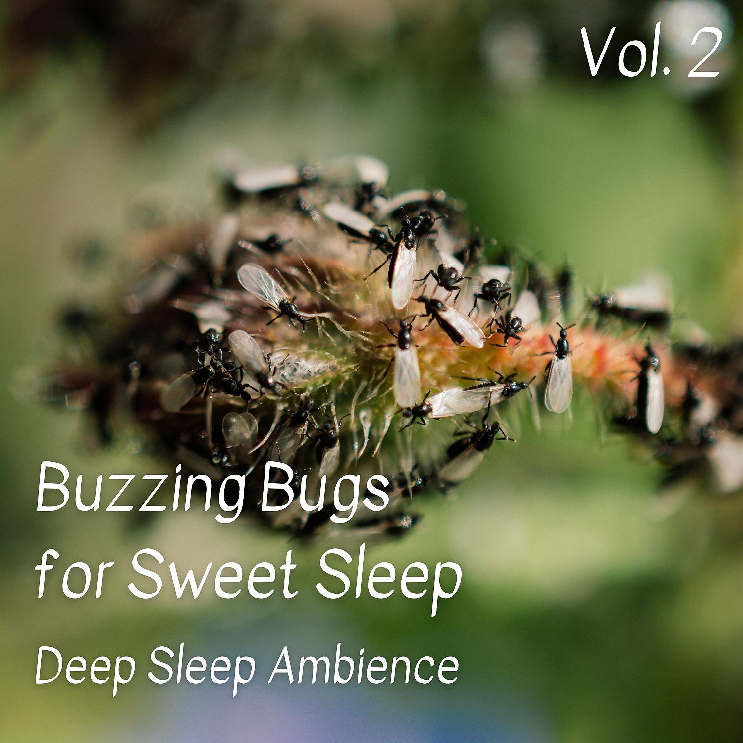 Постер альбома Deep Sleep Ambience: Buzzing Bugs for Sweet Sleep Vol. 1