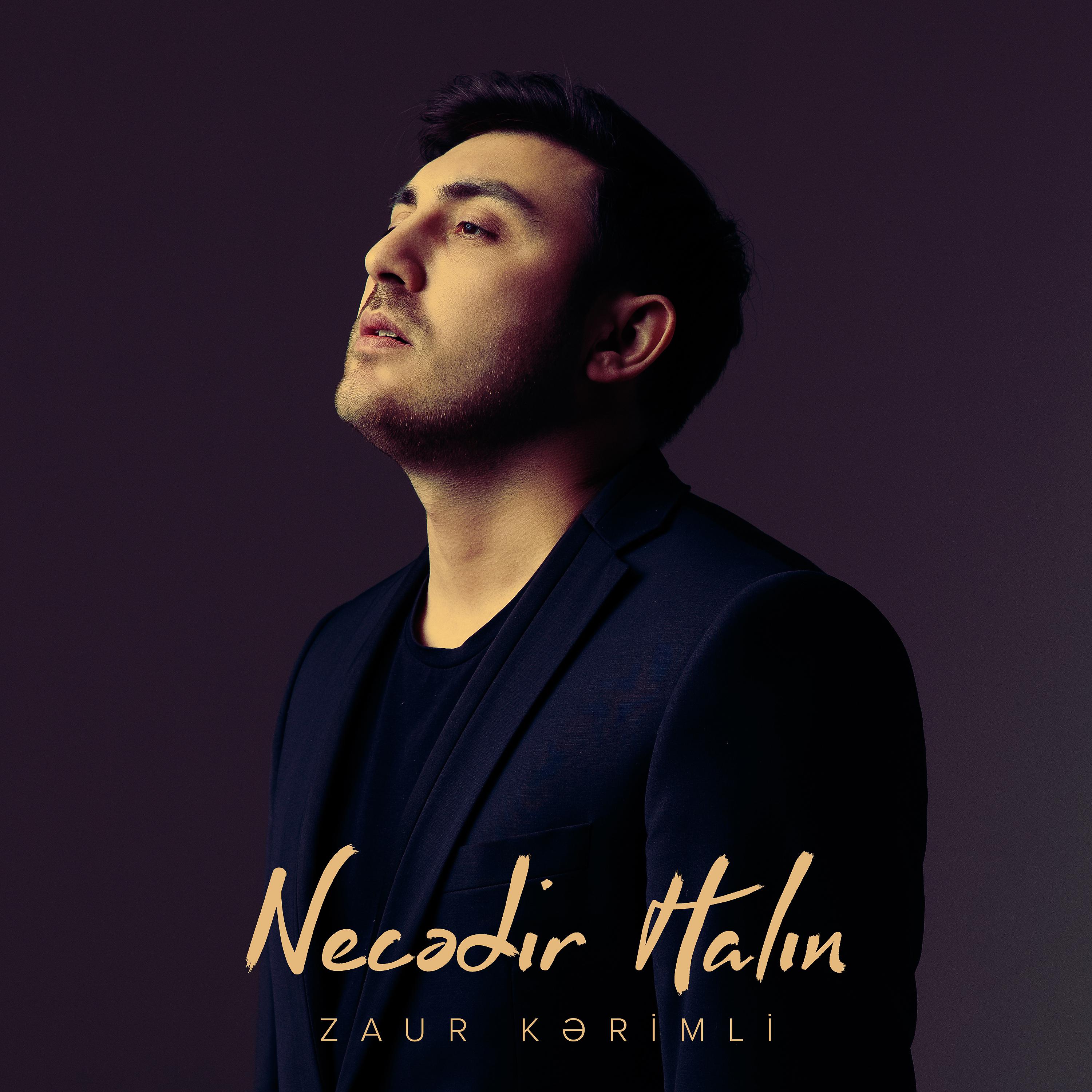 Постер альбома Necədir Halın