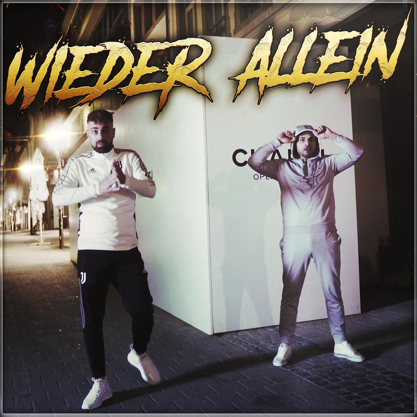 Постер альбома Wieder Allein