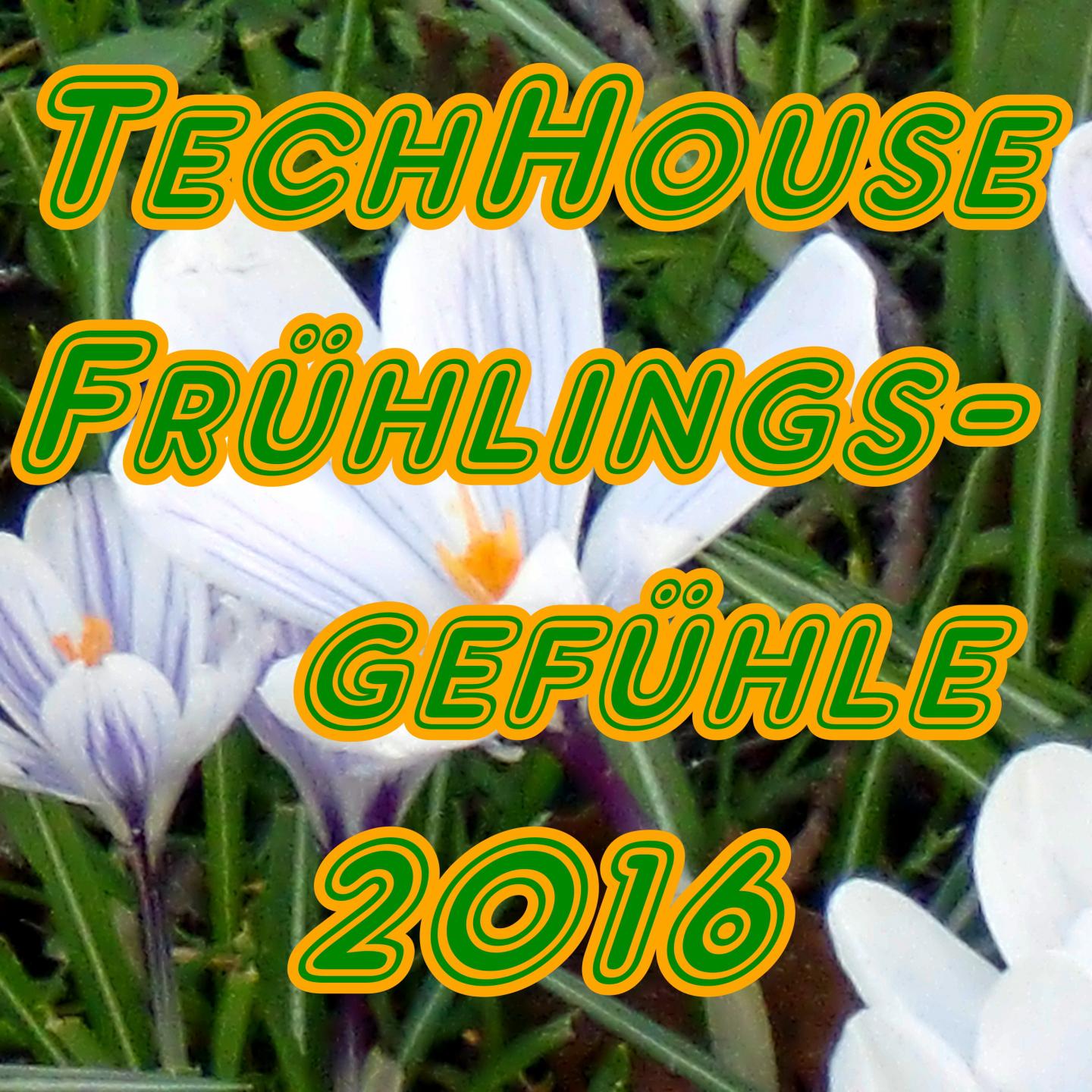Постер альбома Tech House Frühlingsgefühle 2016