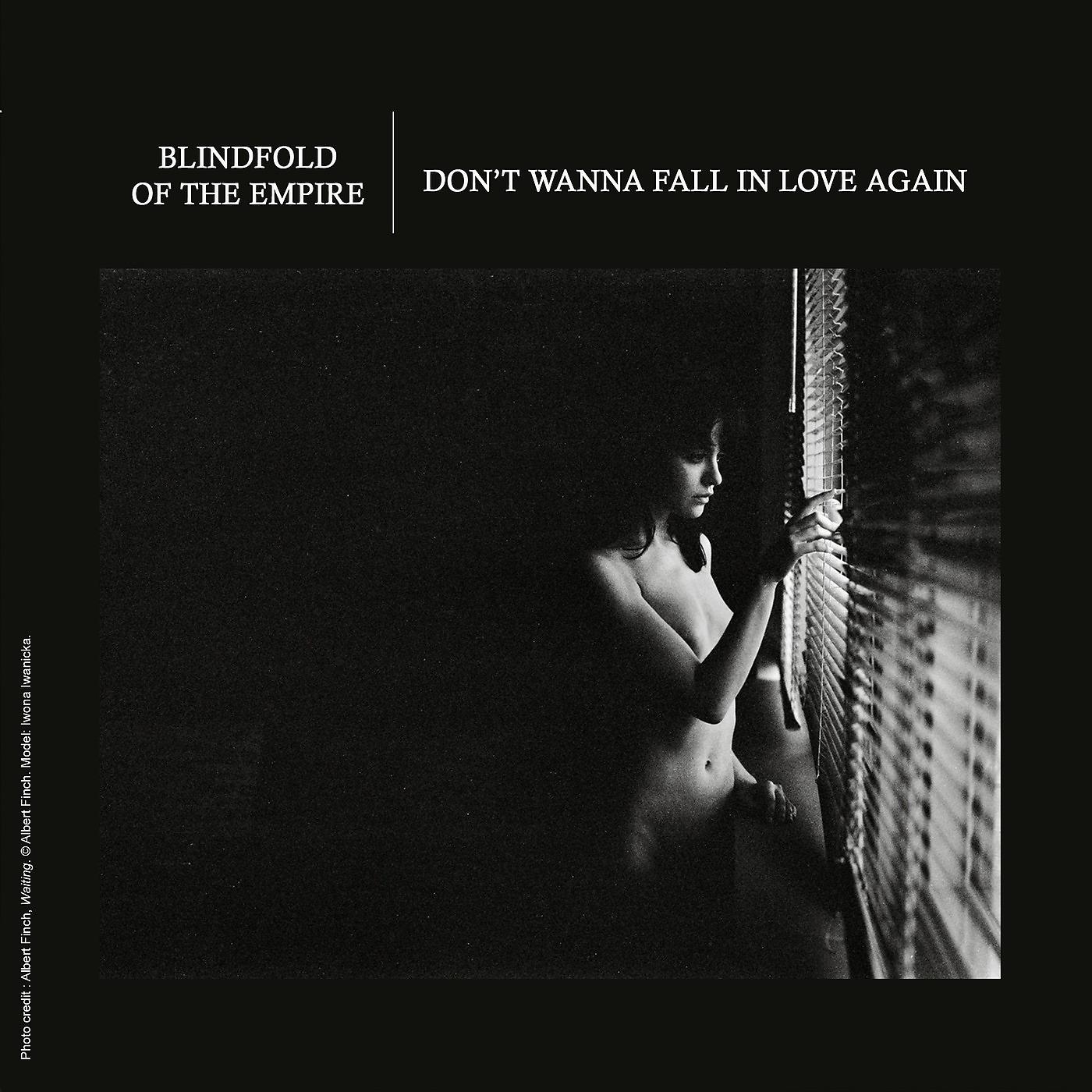 Постер альбома Don't Wanna Fall in Love Again