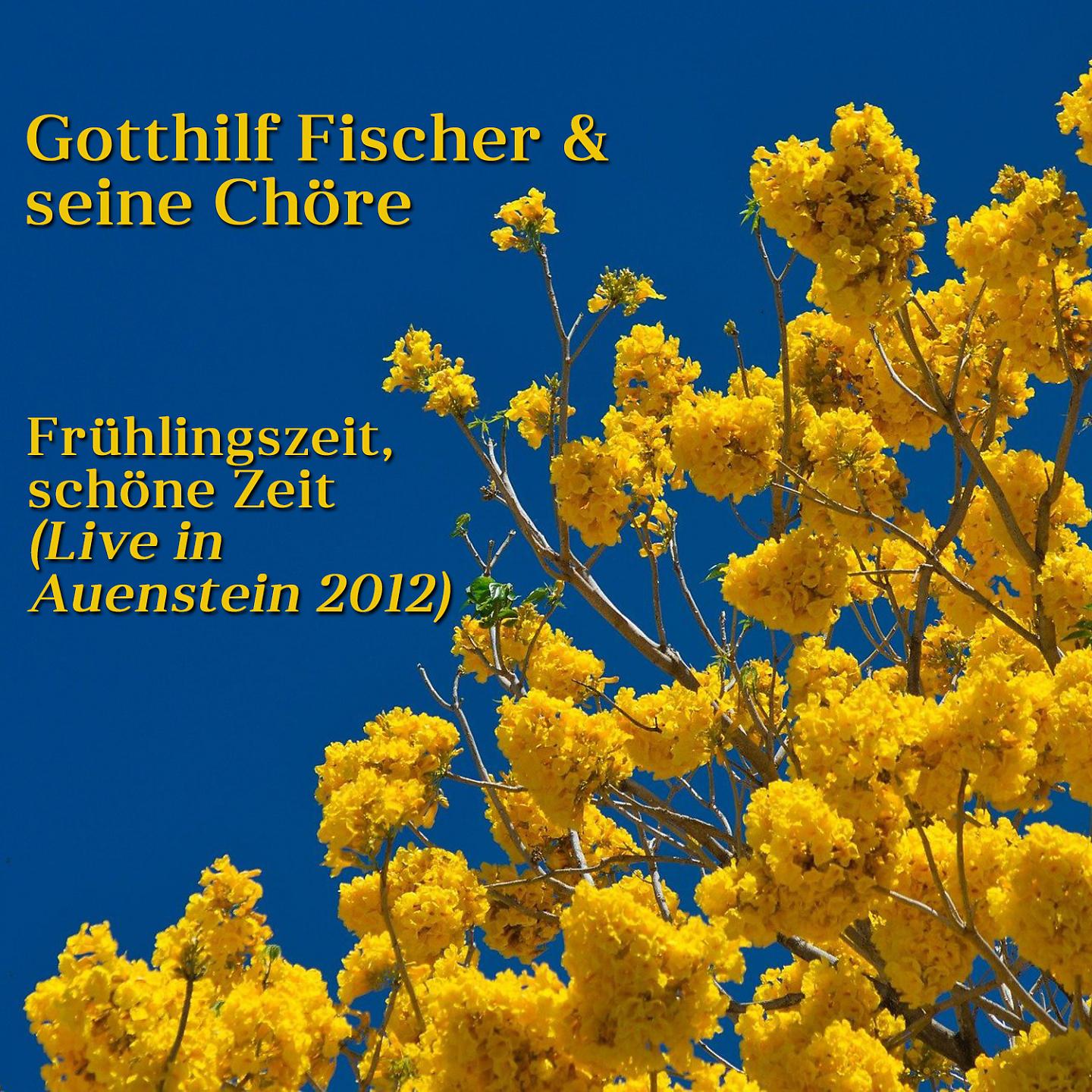 Постер альбома Frühlingszeit, schöne Zeit