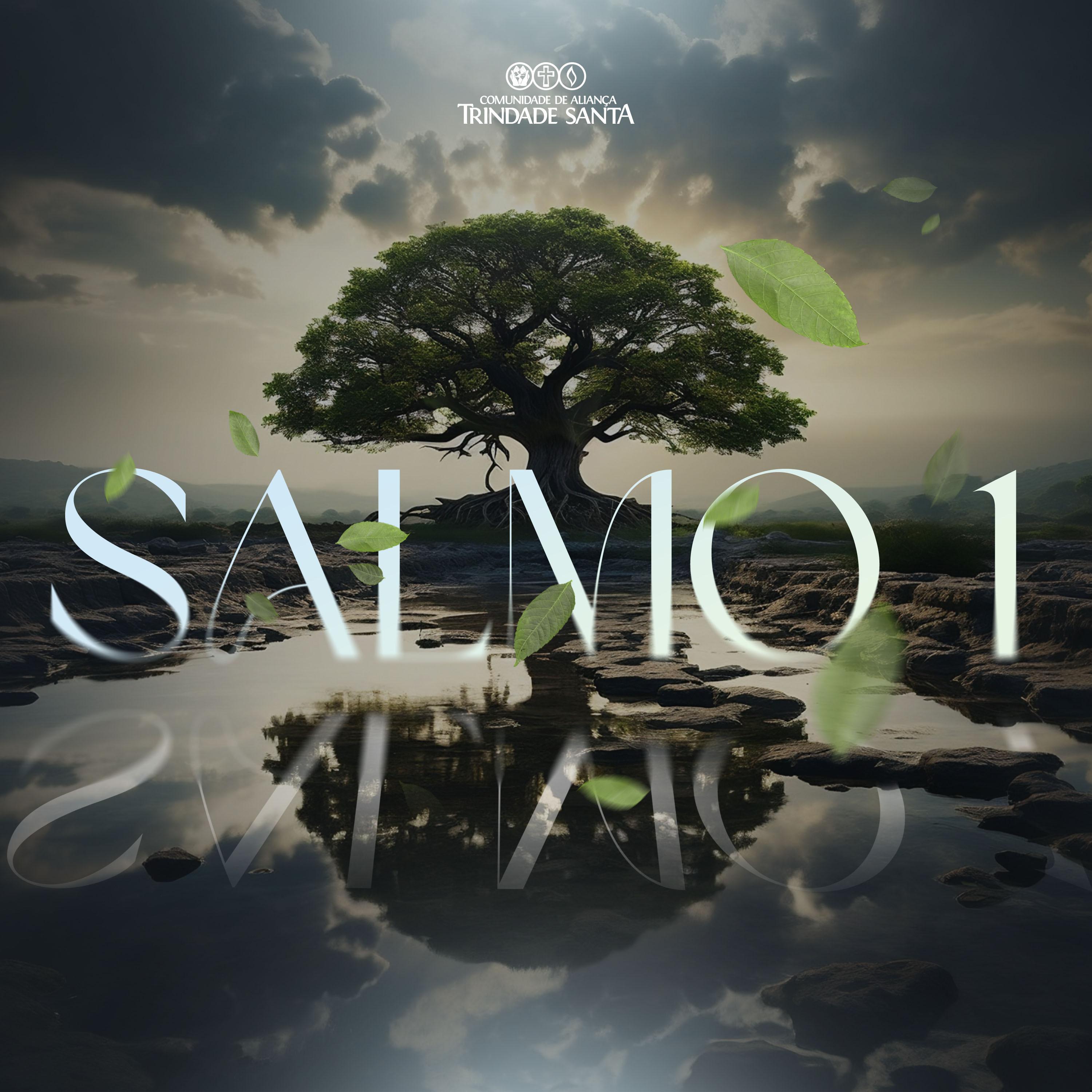 Постер альбома Salmo 1