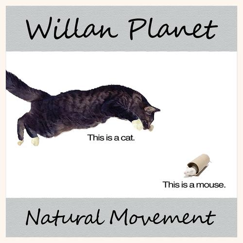 Постер альбома Natural Movement