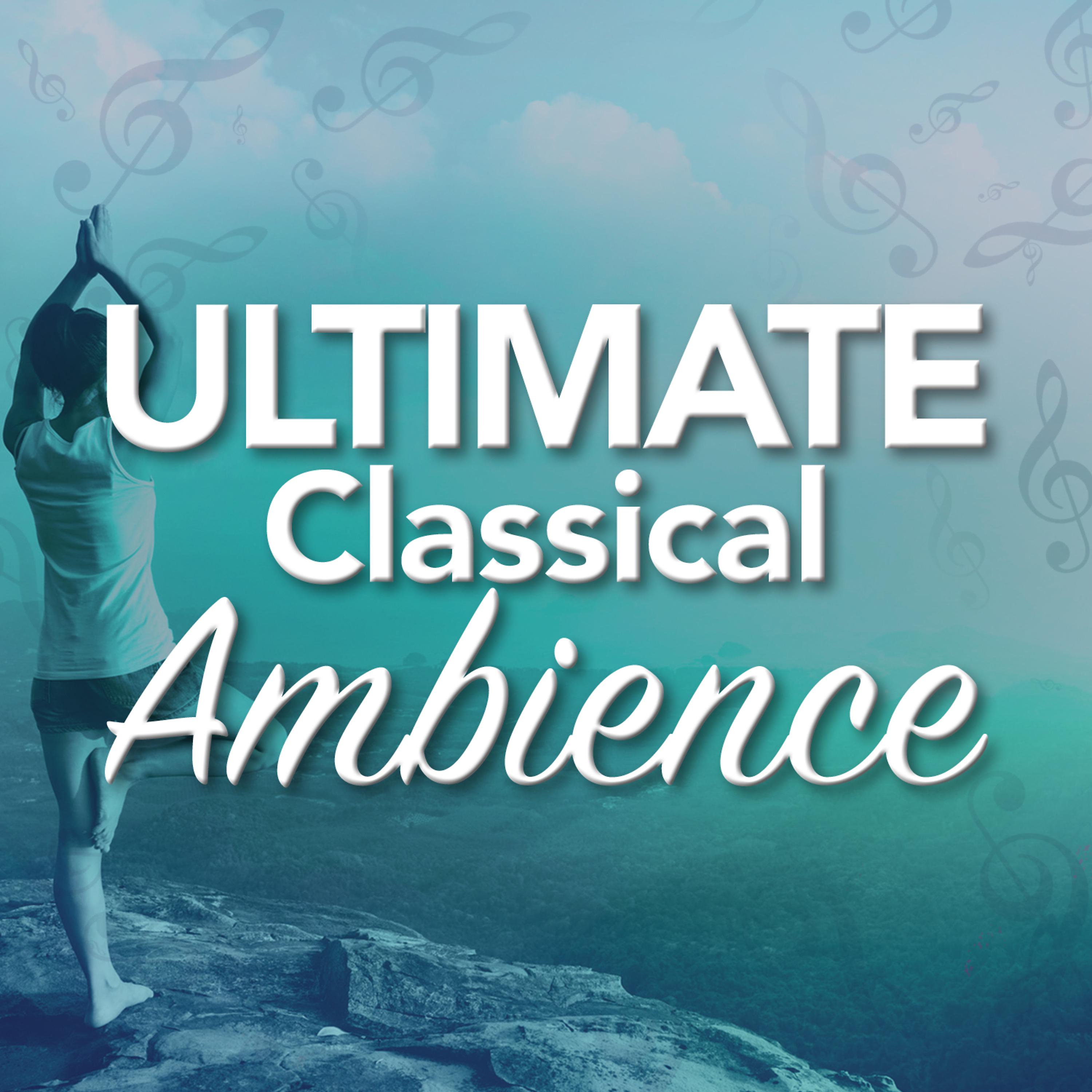 Постер альбома Ultimate Classical Ambience