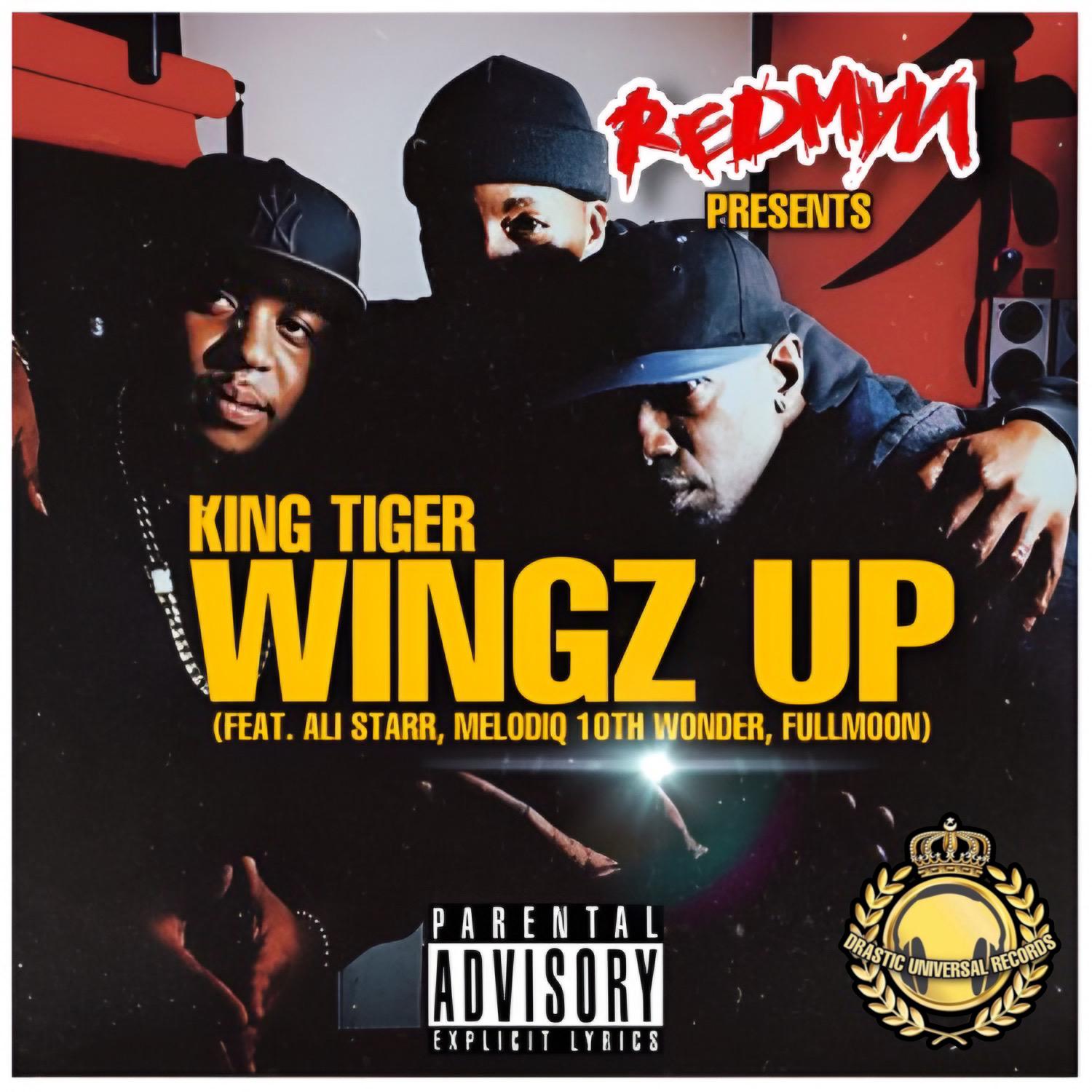 Постер альбома Wingz Up (feat. Redman, Ali Starr, Melodiq Tenth Wonder & Fullmoon) [Extended Version]