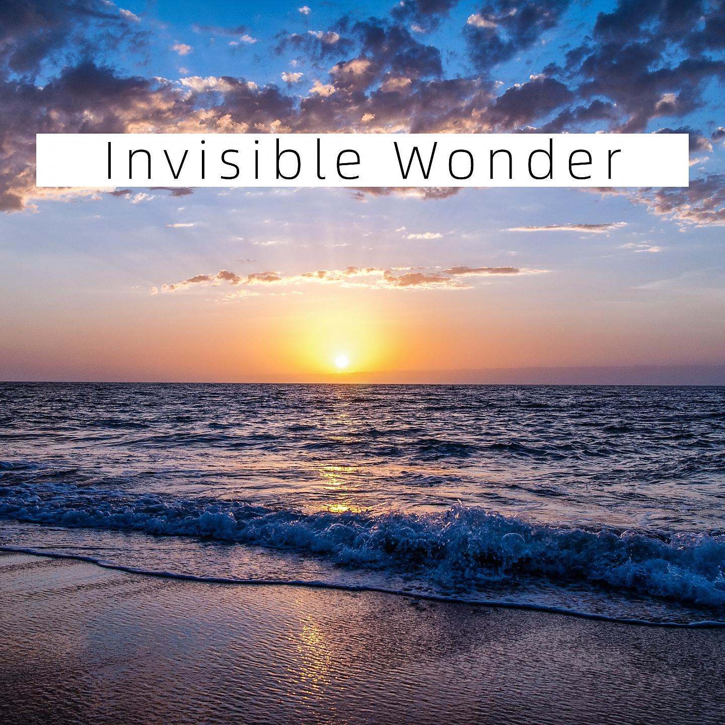 Постер альбома Invisible Wonder