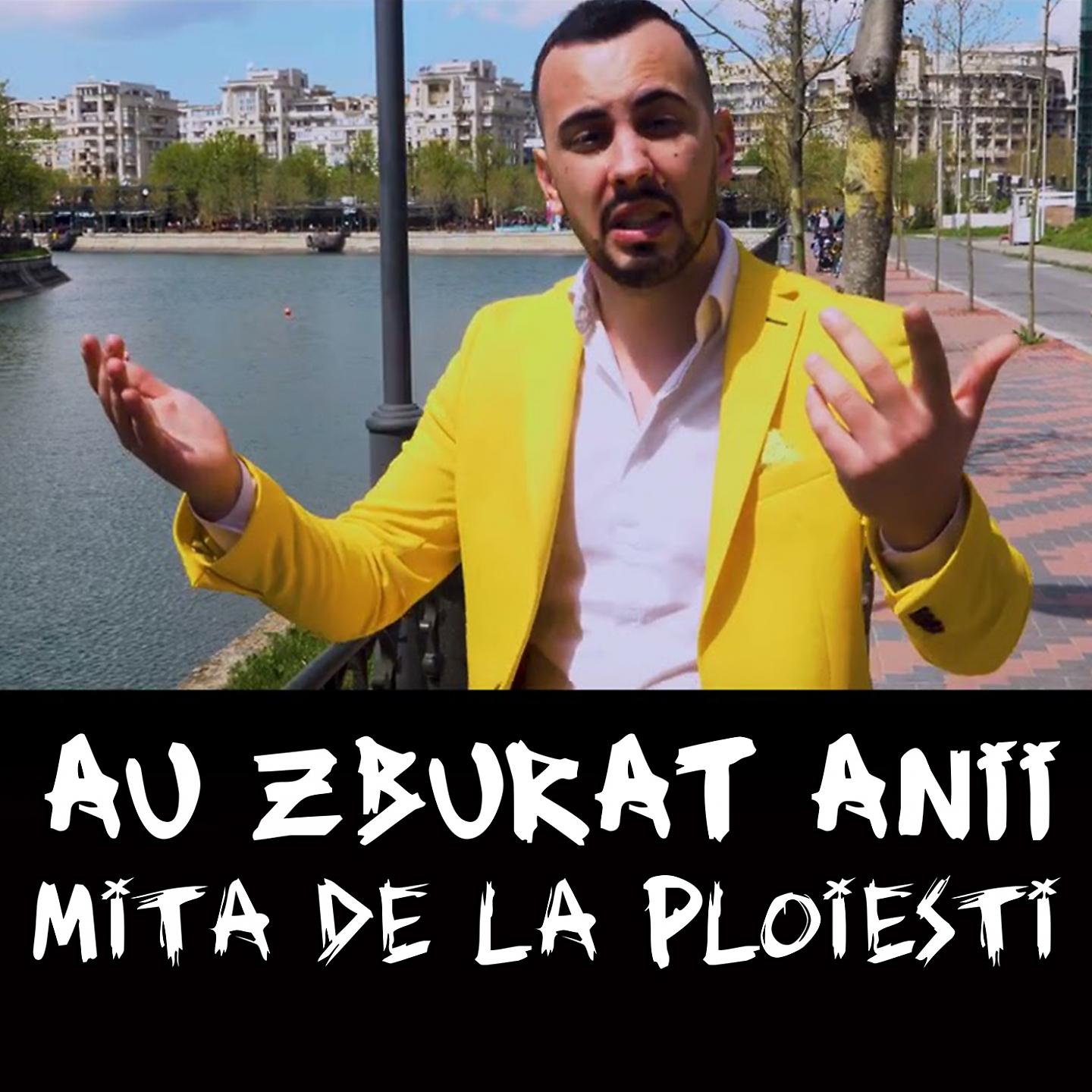 Постер альбома Au Zburat Anii