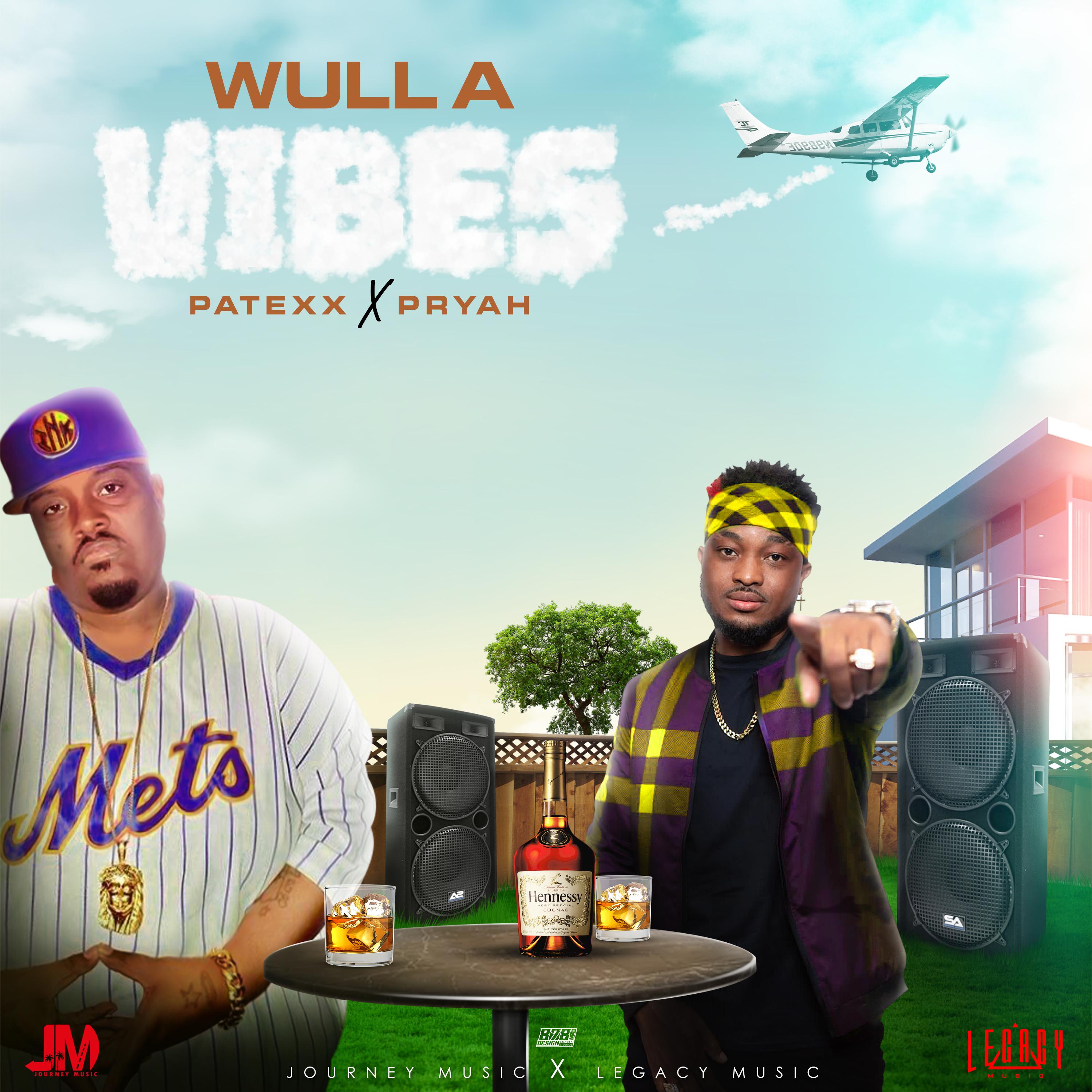 Постер альбома Wull a Vibes