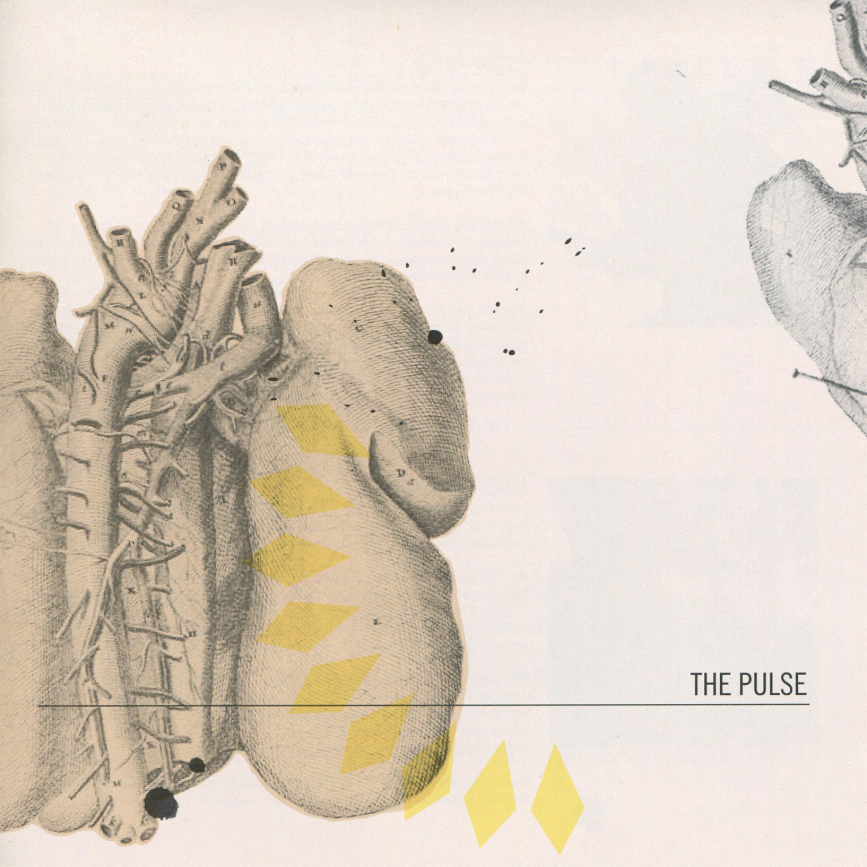 Постер альбома The Pulse