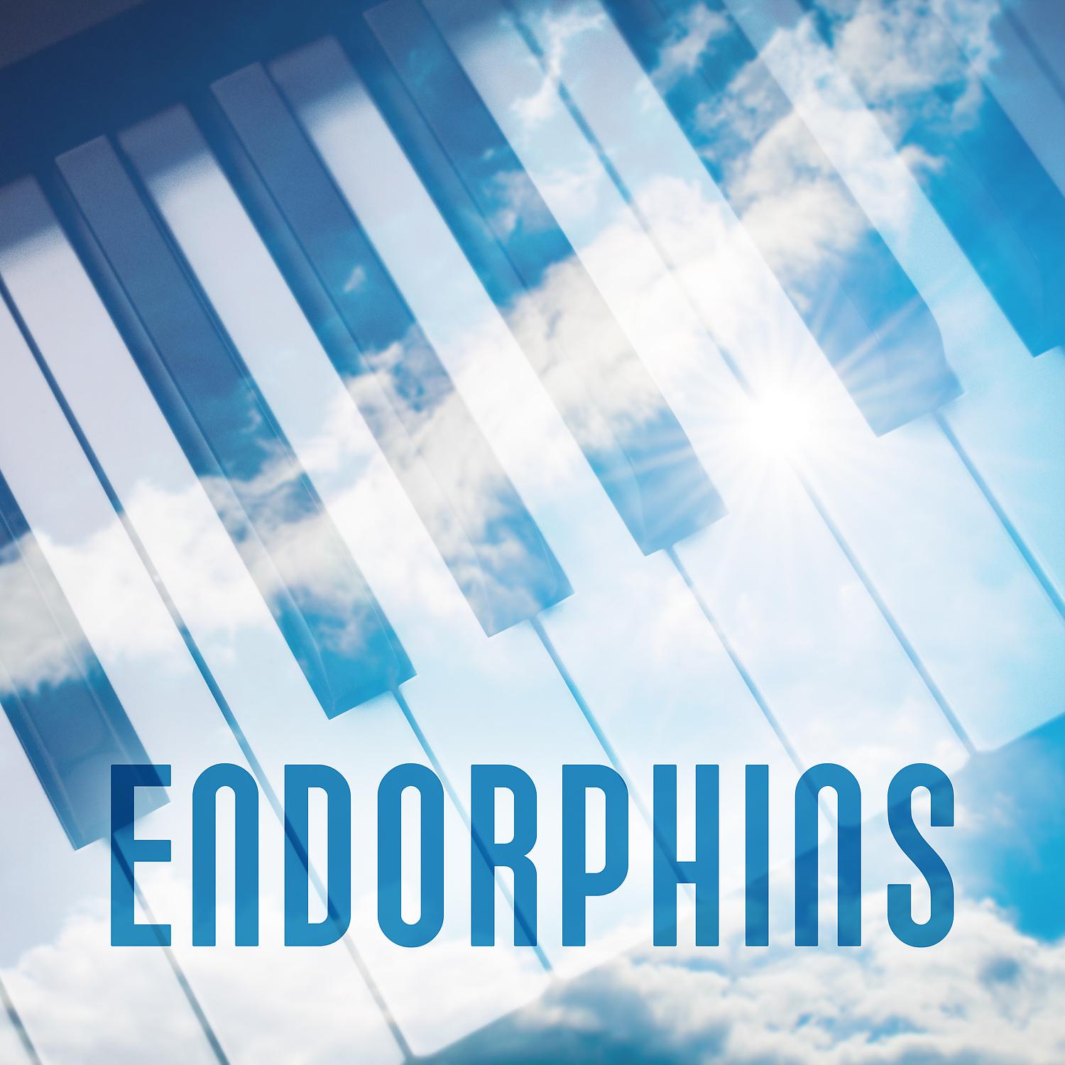 Постер альбома Endorphins - Happiness Hormone, Hot Chocolate, Pleasant Time, Winter Evenings