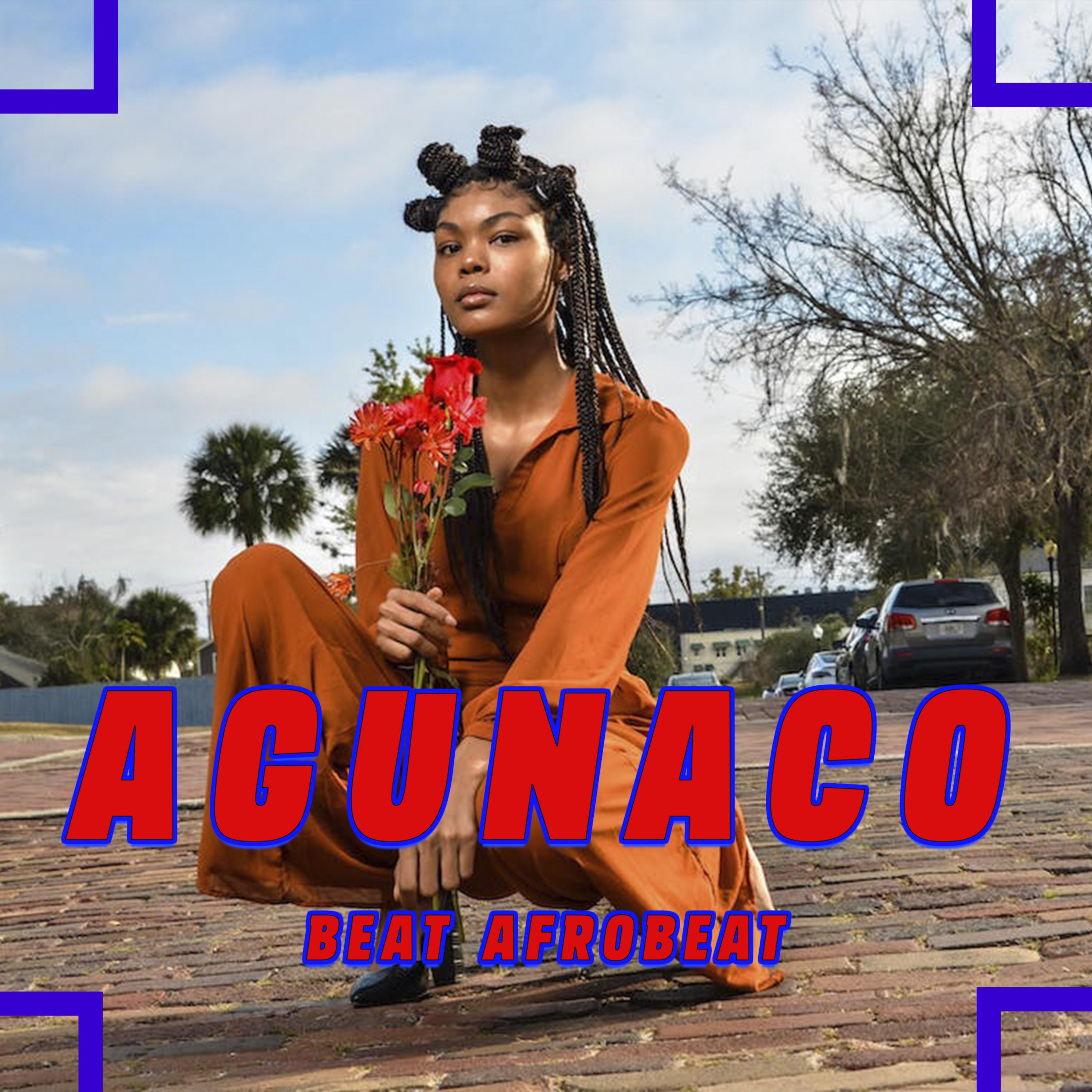 Постер альбома Agunaco