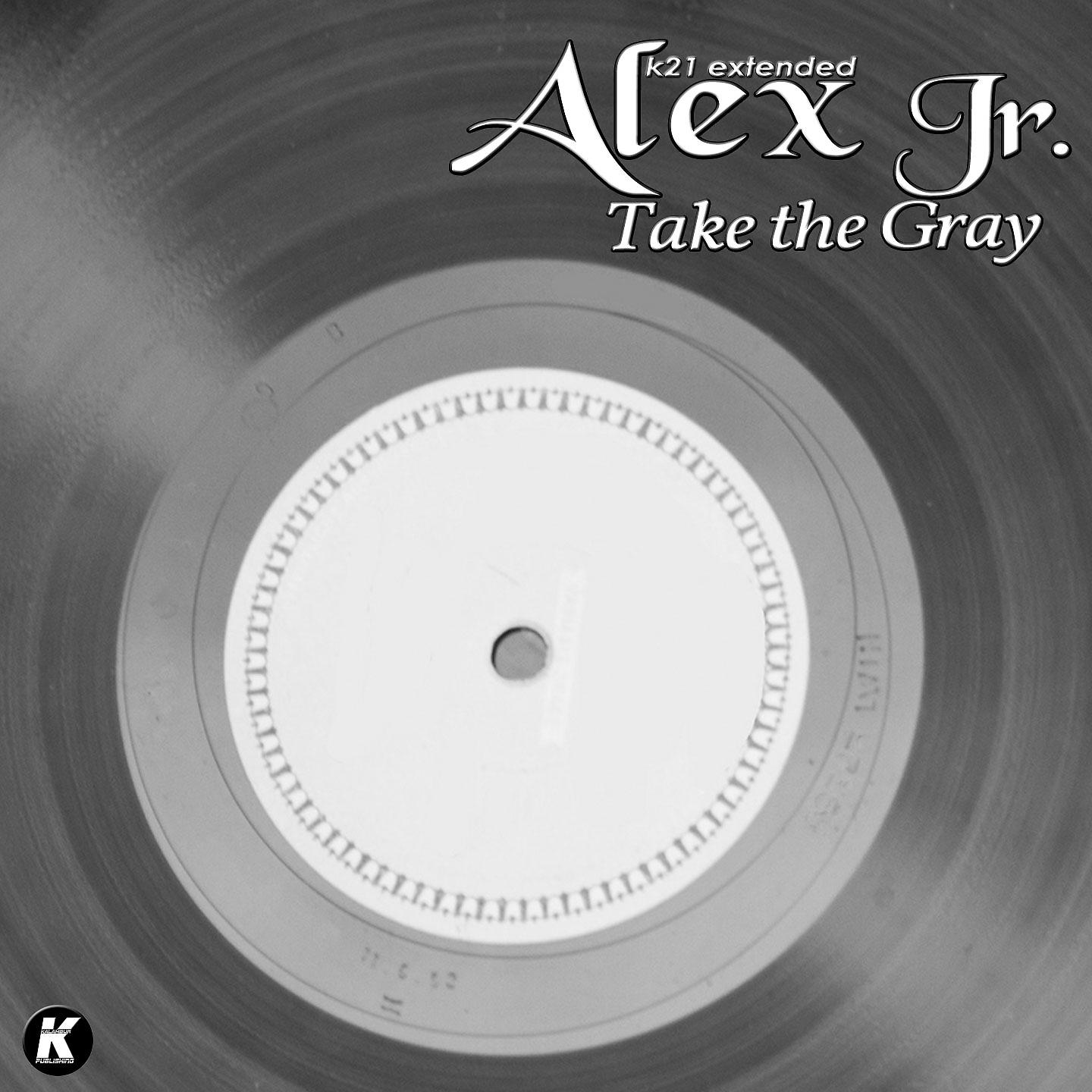 Постер альбома Take the Gray