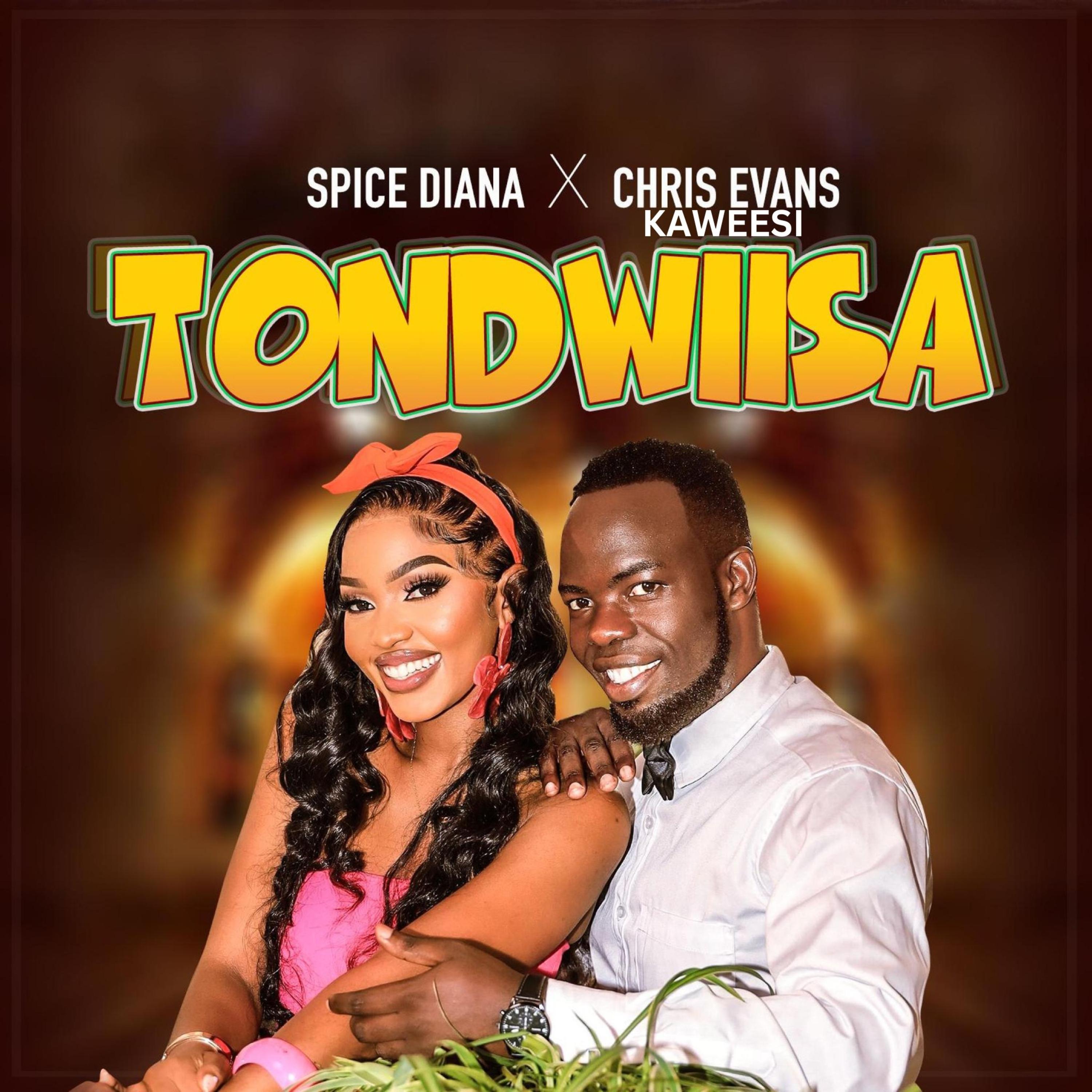 Постер альбома Tondwiisa