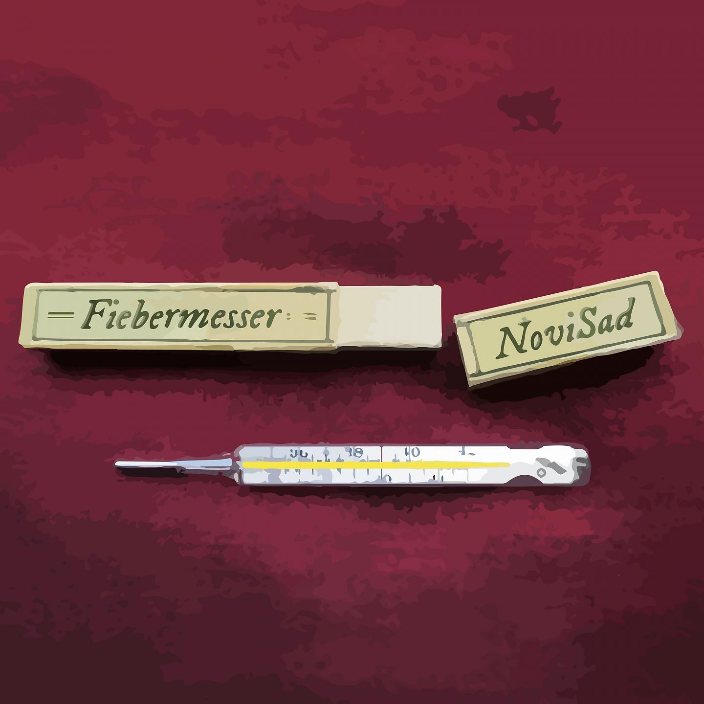 Постер альбома Fiebermesser