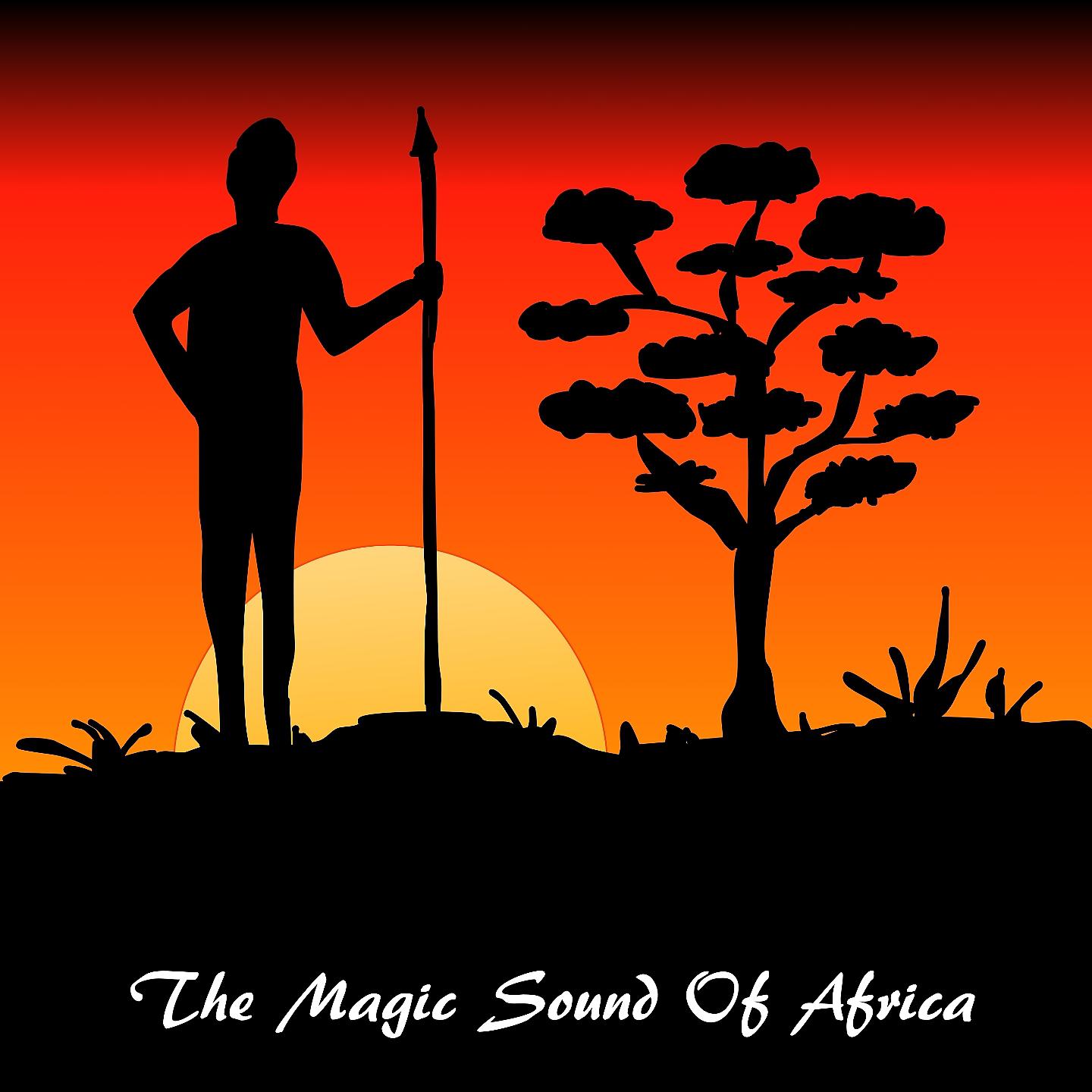 Постер альбома The Magic Sound of Africa