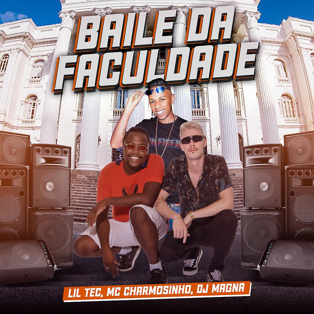 Постер альбома Baile da faculdade