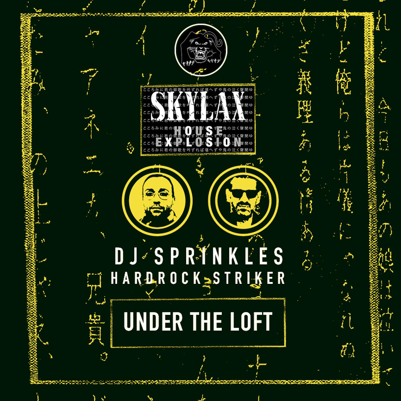 Постер альбома Skylax House Explosion - Under The Loft