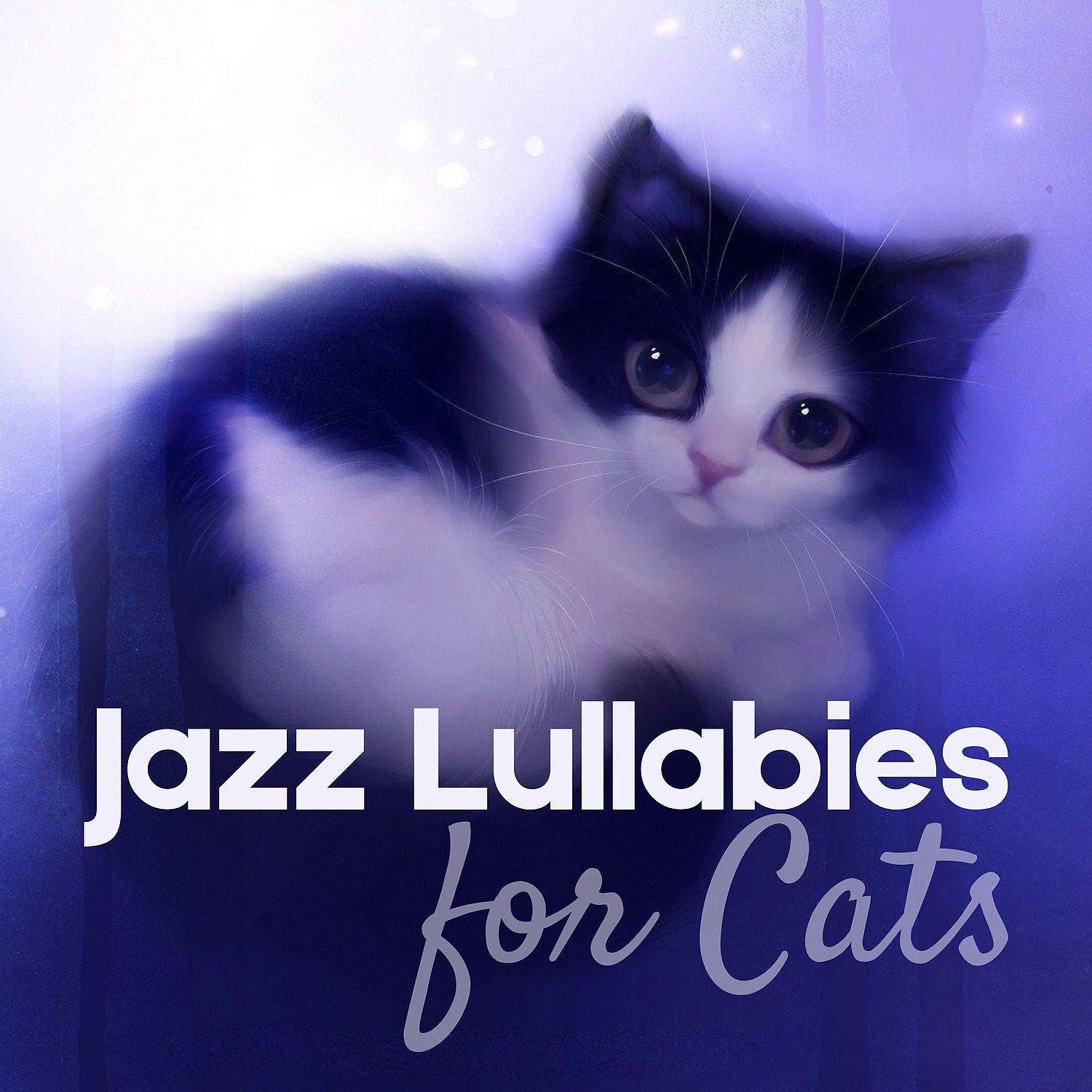 Постер альбома Jazz Lullabies for Cats