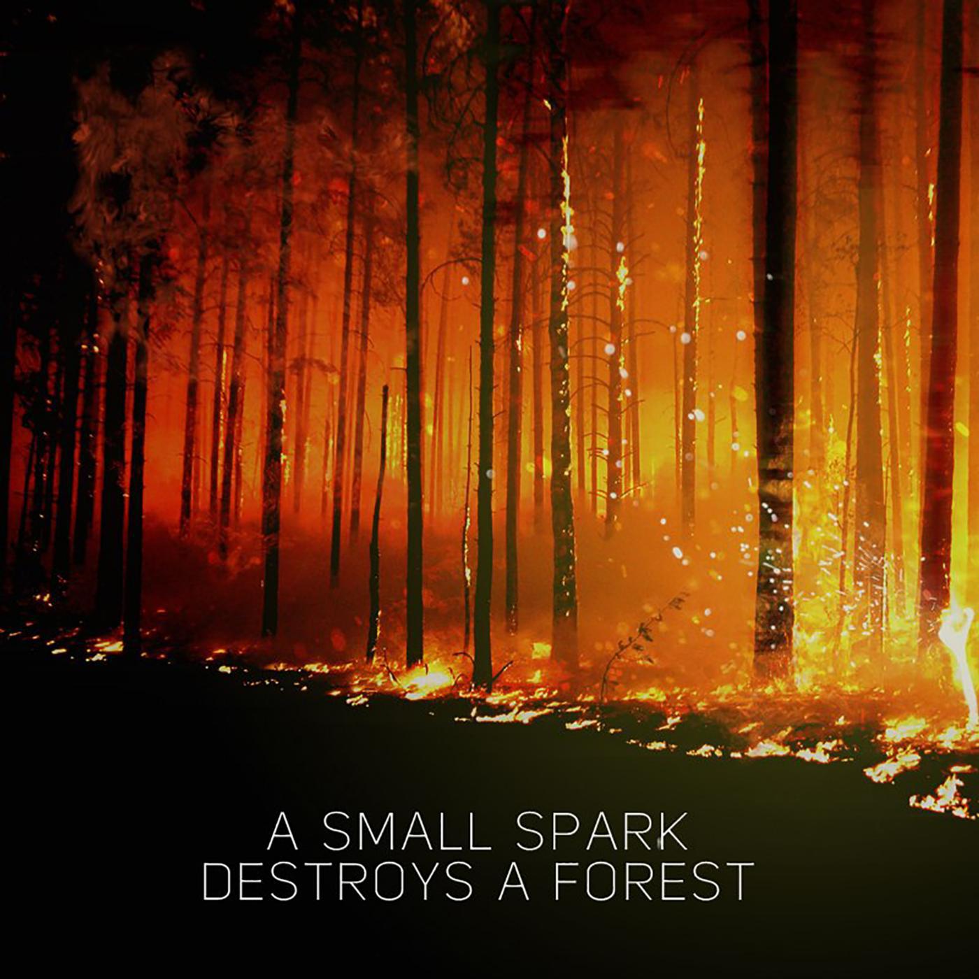 Постер альбома A Small Spark Destroys a Forest