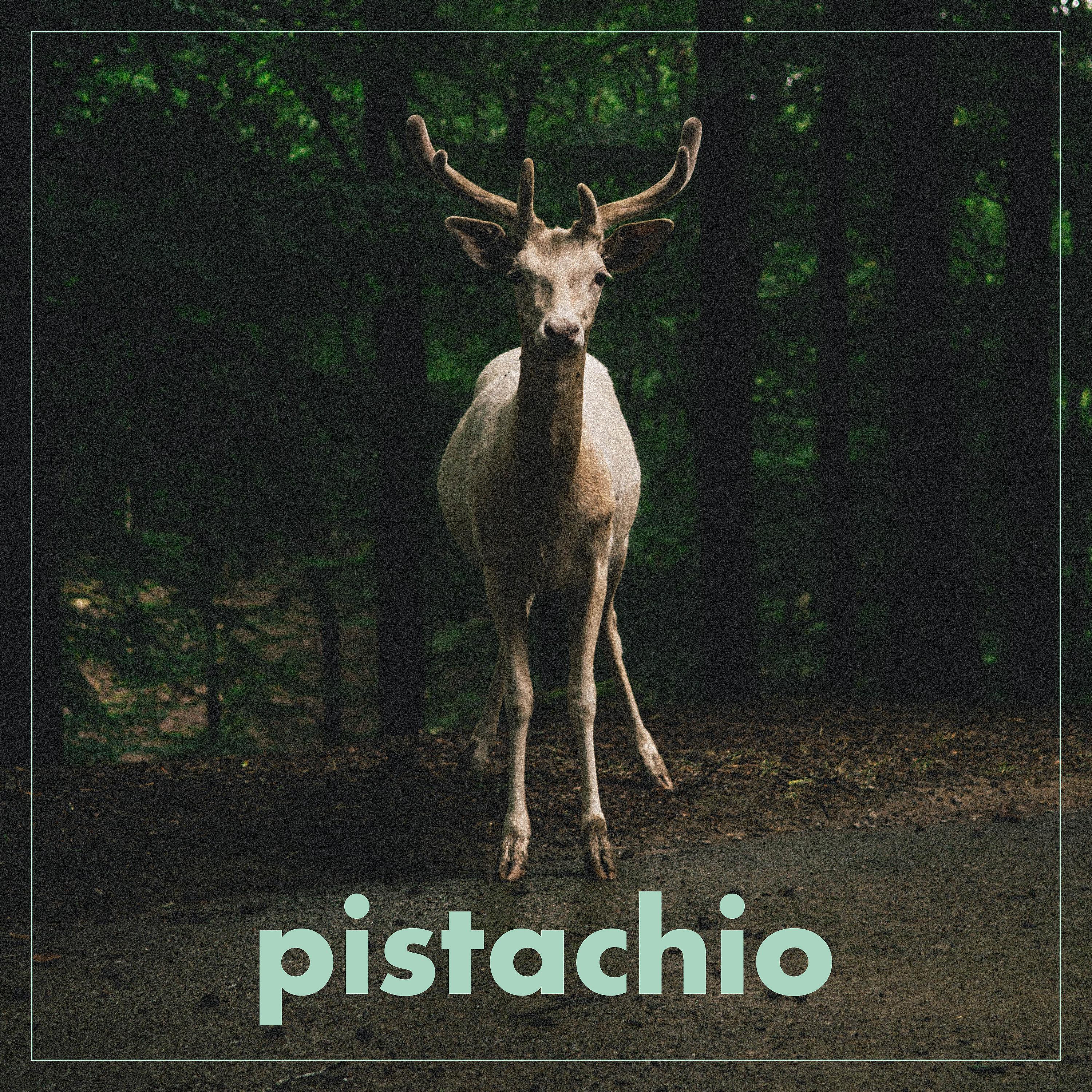 Постер альбома Pistachio