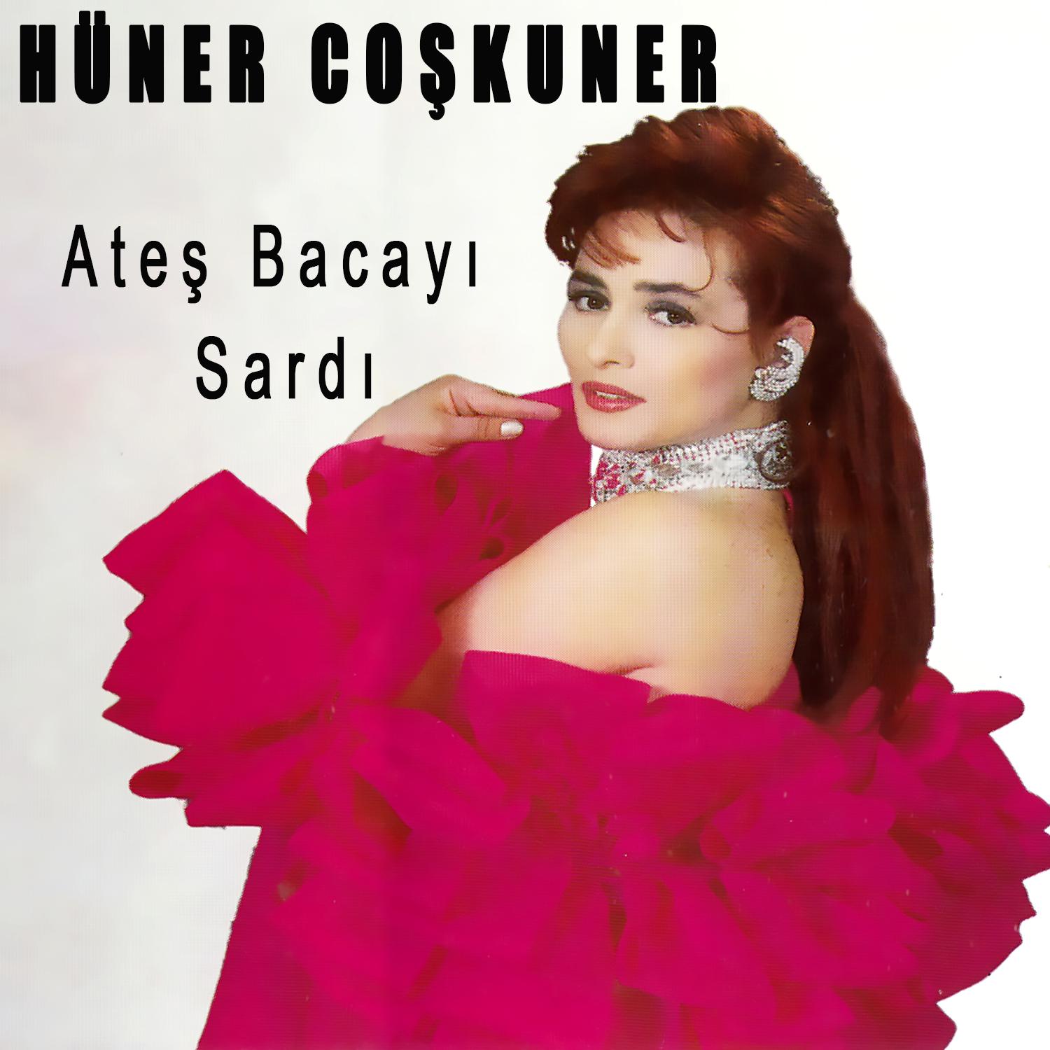 Постер альбома Ateş Bacayı Sardı