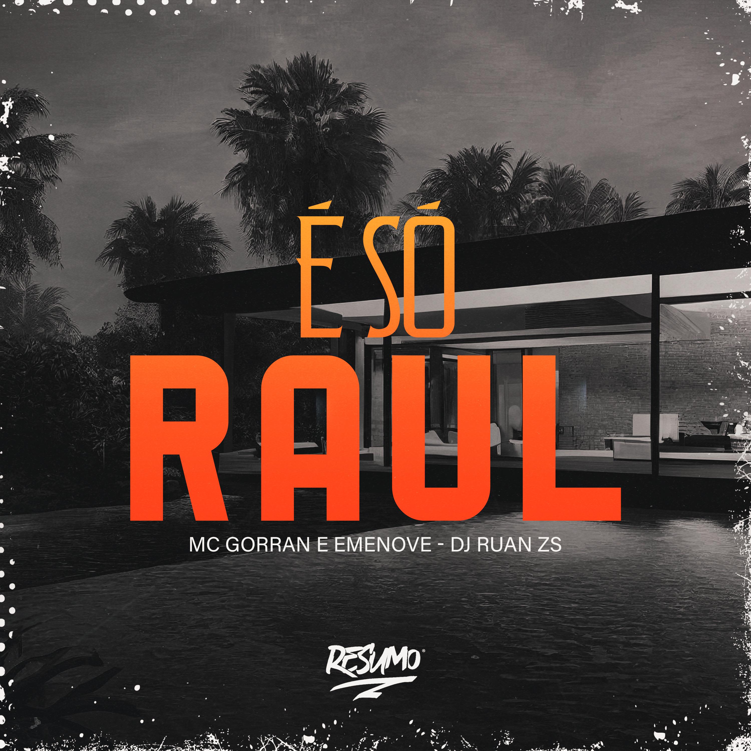 Постер альбома E Só Raul