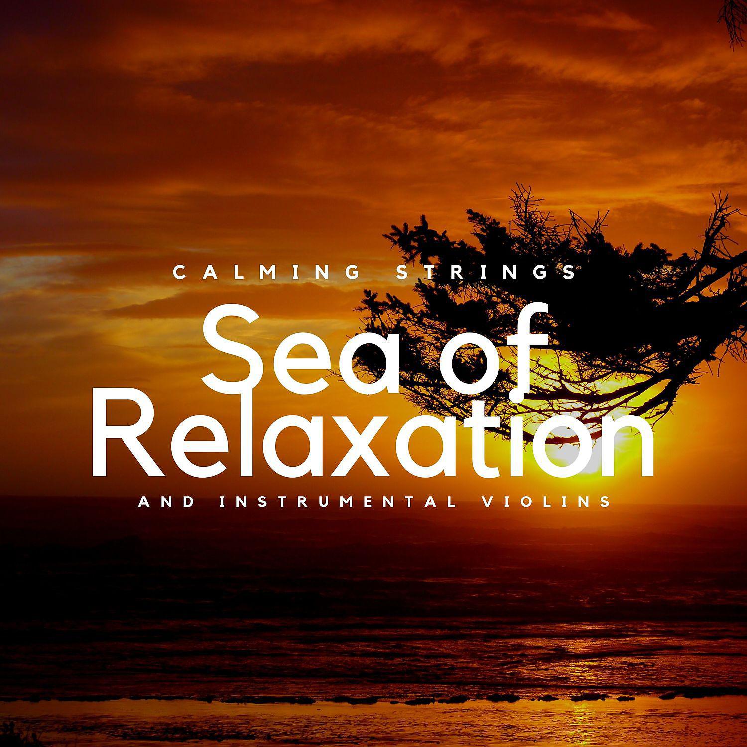 Постер альбома Sea of Relaxation and Instrumental Violins