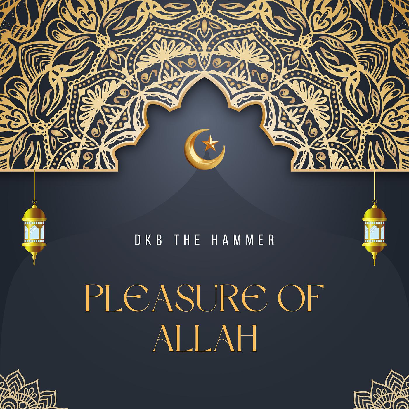 Постер альбома Pleasure of Allah