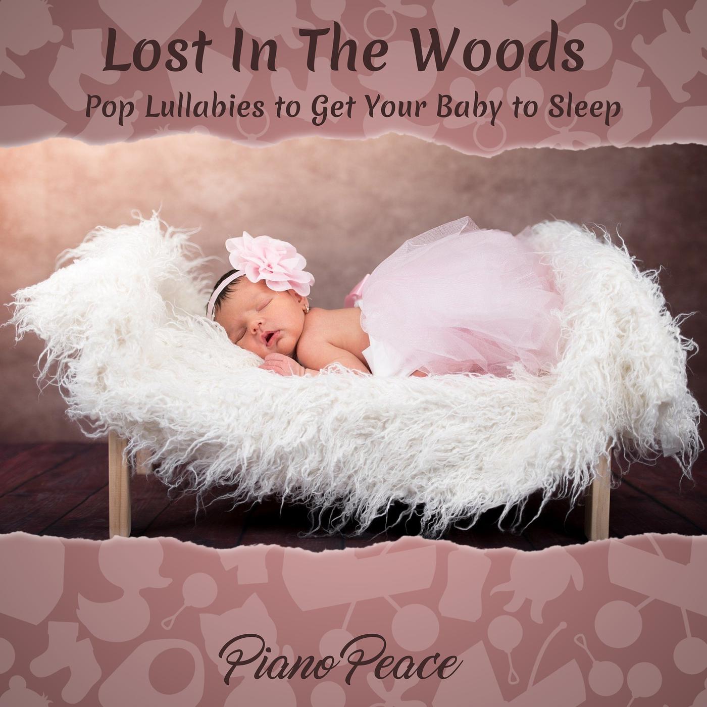 Постер альбома Lost in the Woods ~ Pop Lullabies to Get Your Baby to Sleep