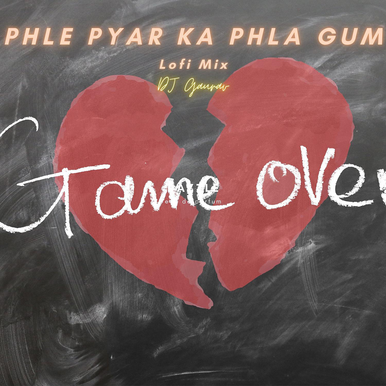 Постер альбома Phle Pyar ka Phla Gum Lofi Mix
