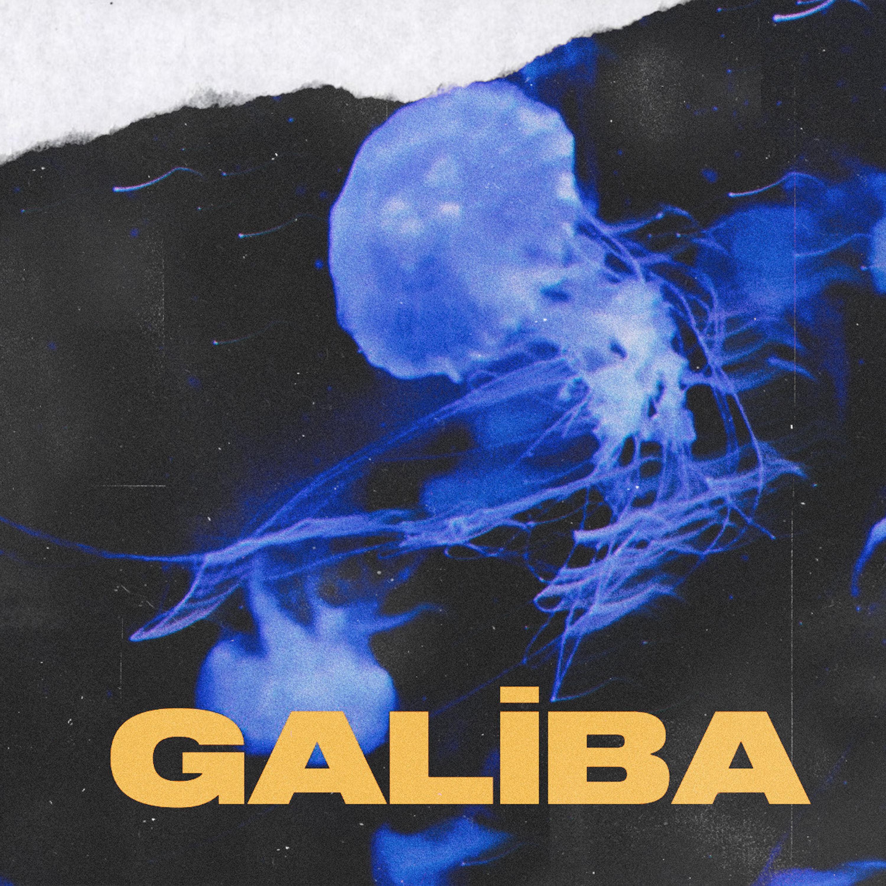 Постер альбома Galiba