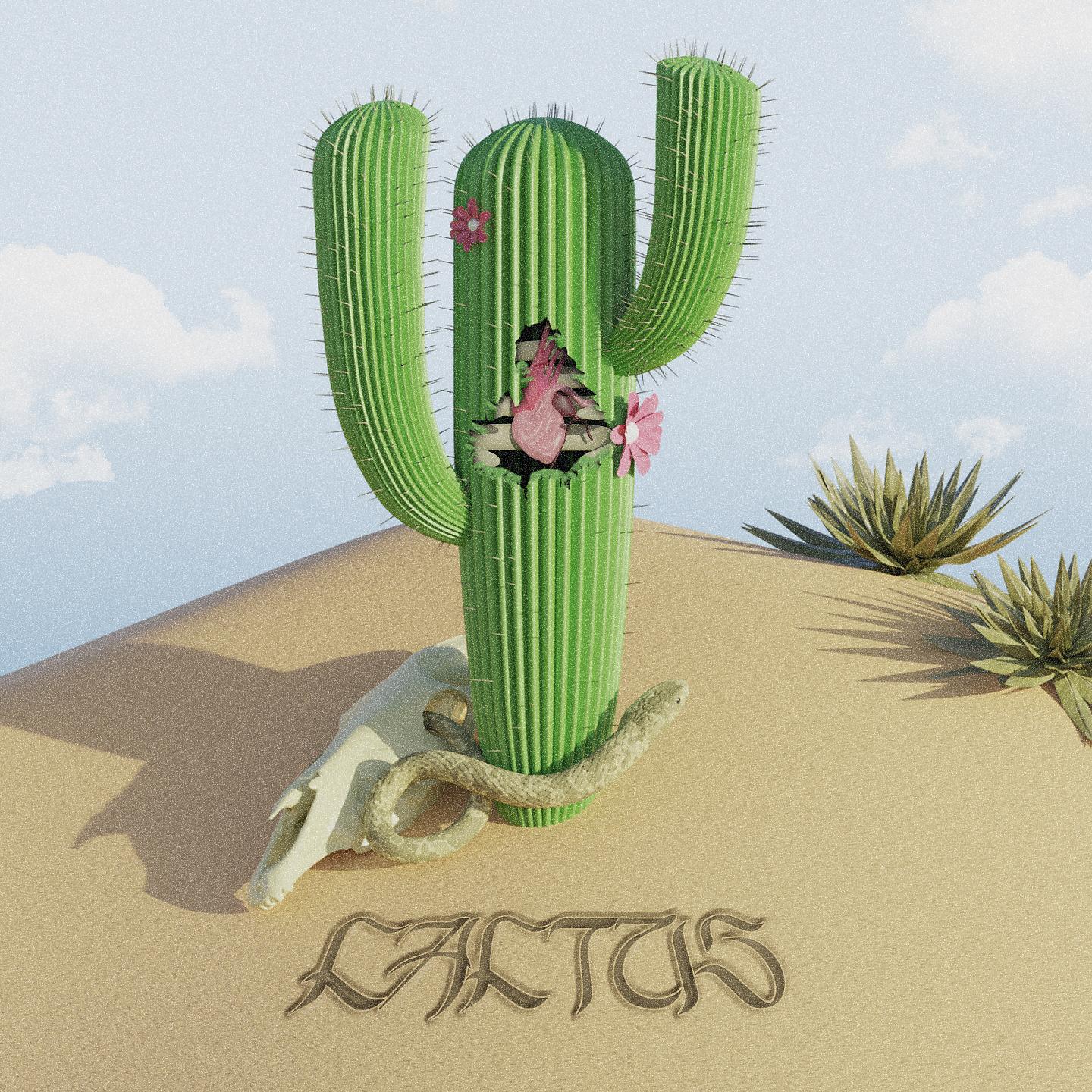 Постер альбома Cactus