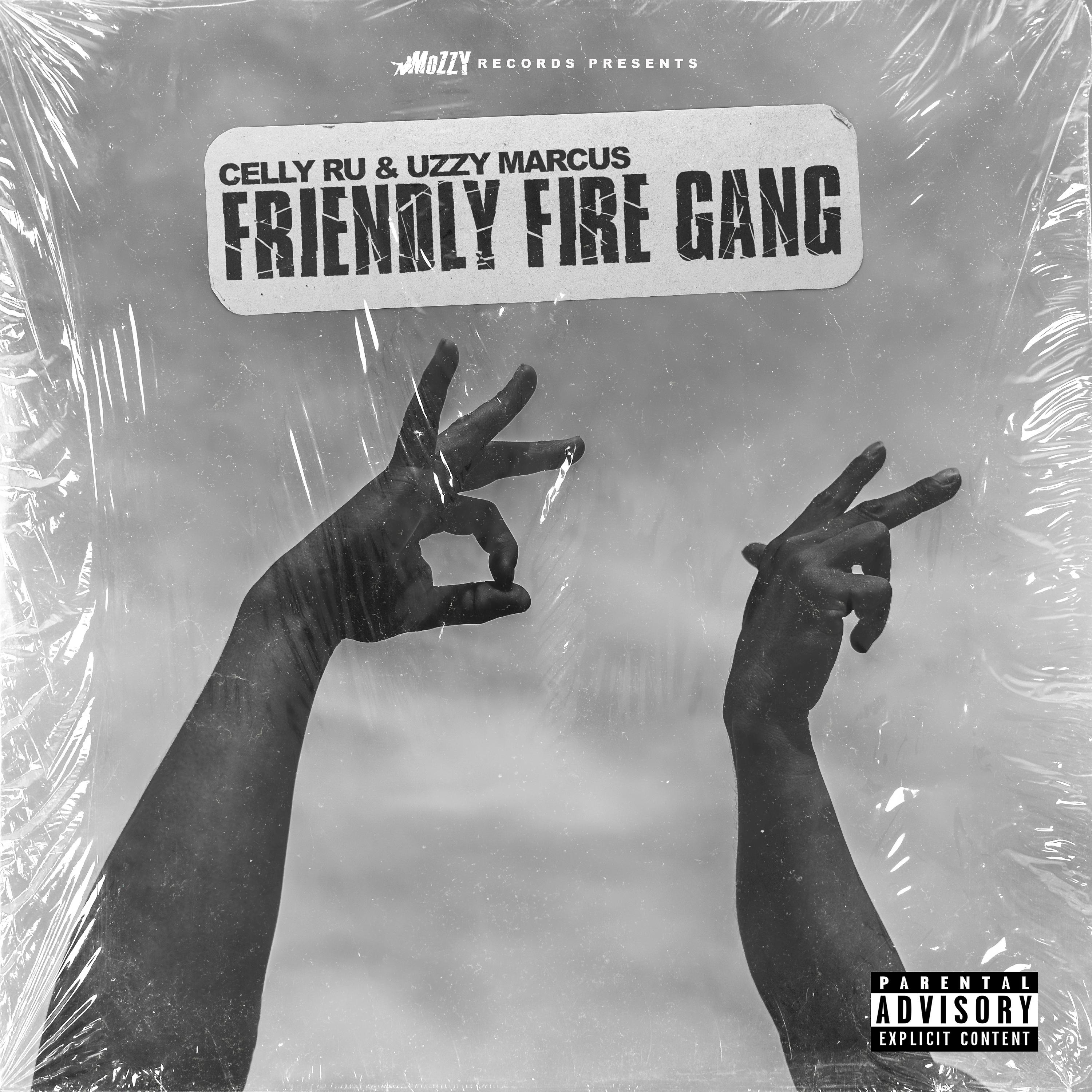 Постер альбома Friendly Fire Gang