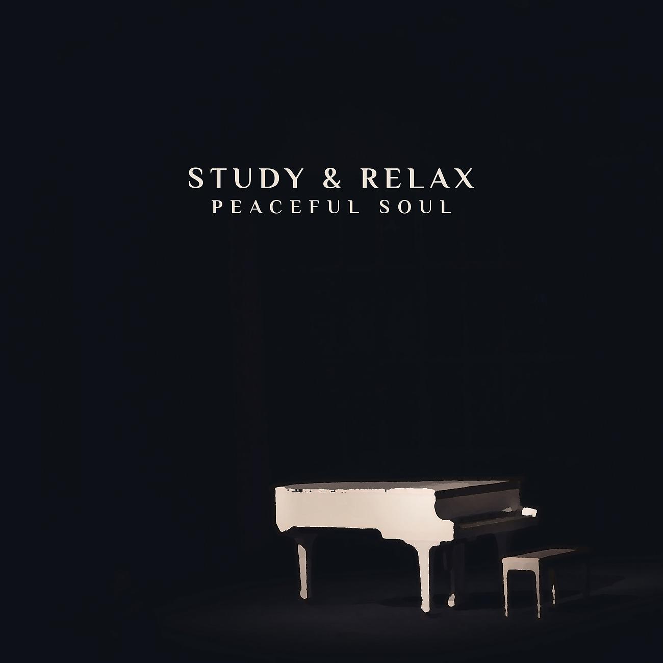 Постер альбома Study & Relax