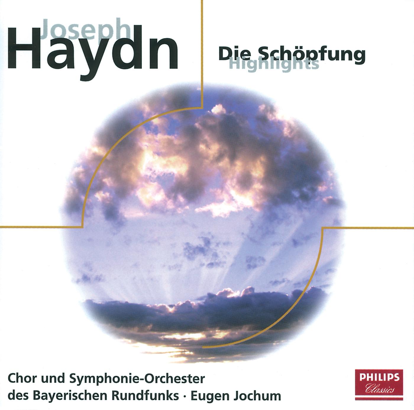 Постер альбома Haydn: Die Schöpfung (Highlights)