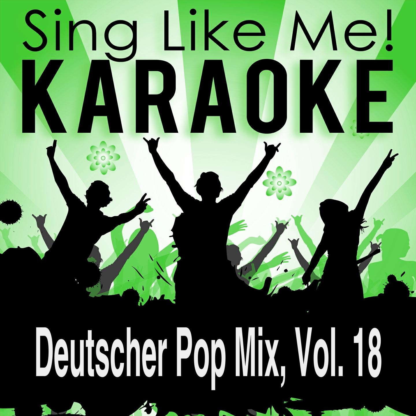 Постер альбома Deutscher Pop Mix, Vol. 18 (Karaoke Version)